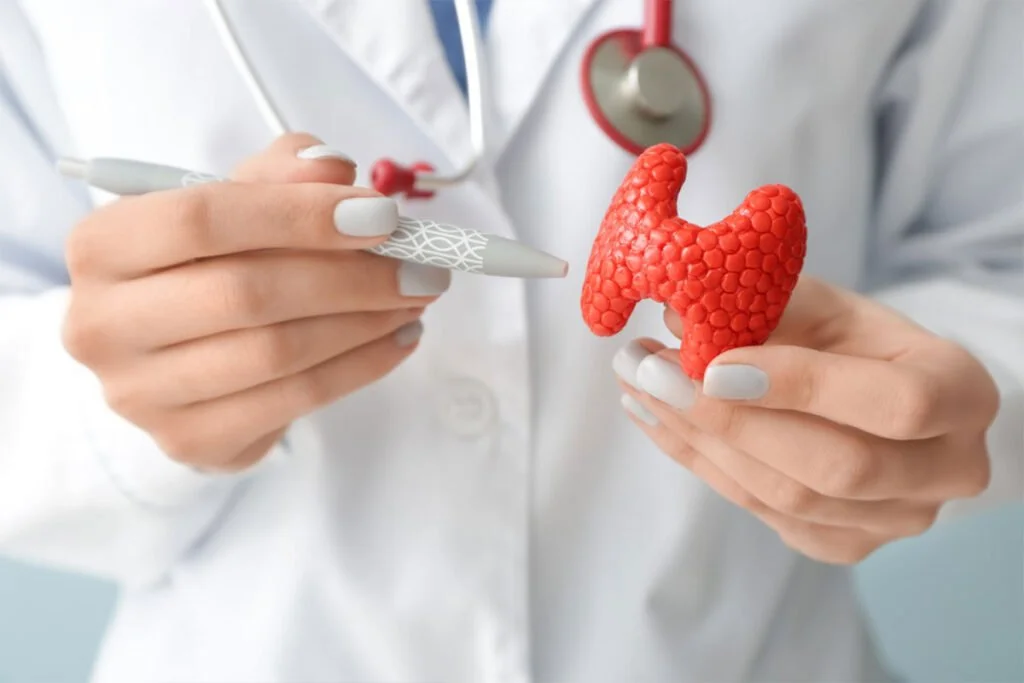 Endocrinologia em Santo Tirso: Como Cuidar do Seu Equilíbrio Hormonal