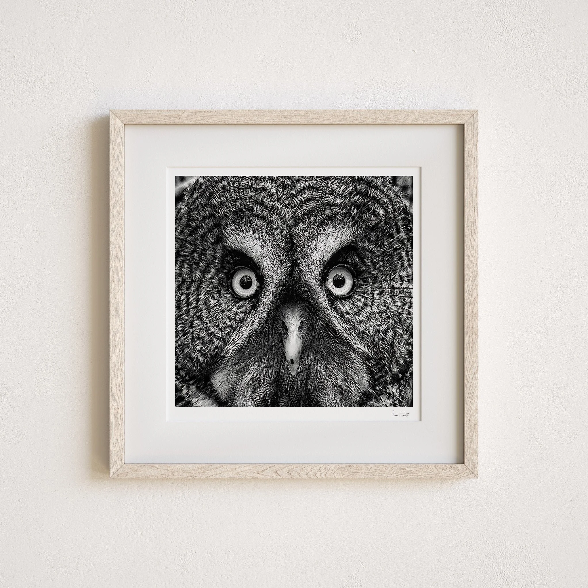 Between Two Worlds - Mellom To Verdener