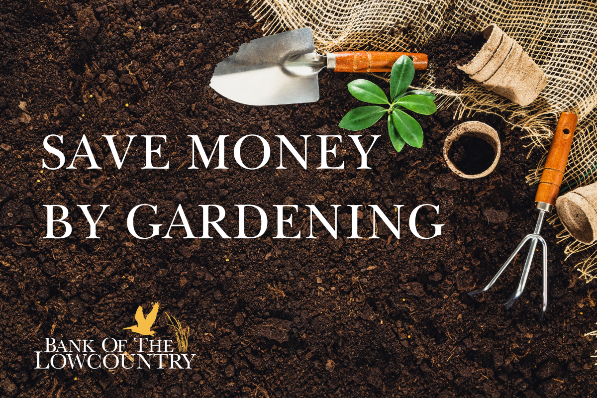 Save Money by Gardening