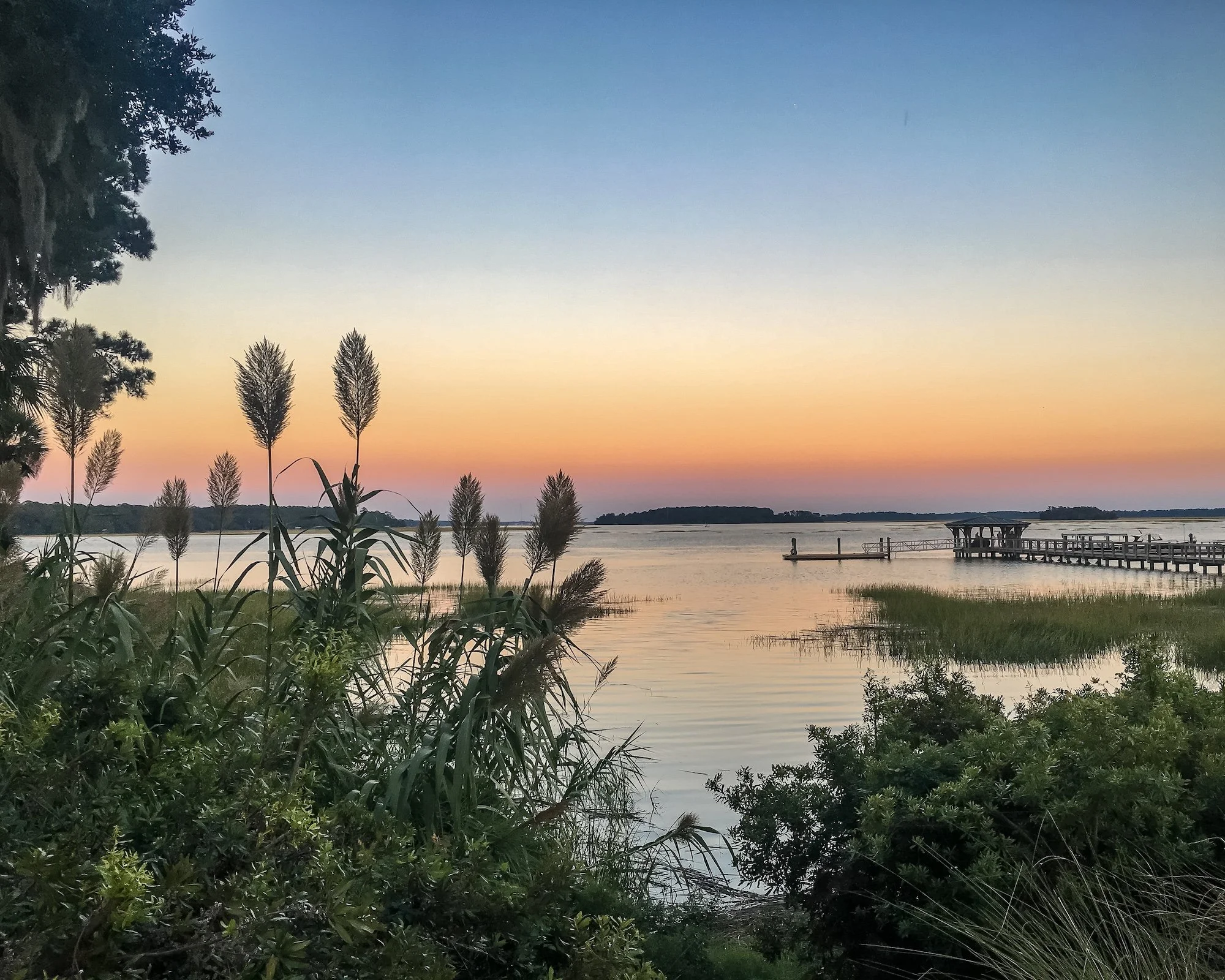 AdobeStock_1312672809.jpeg
