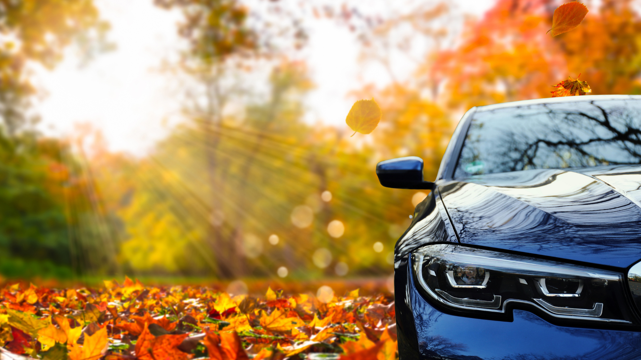 Fall In Love With Our Limited-Time Rates! September 1-October 31