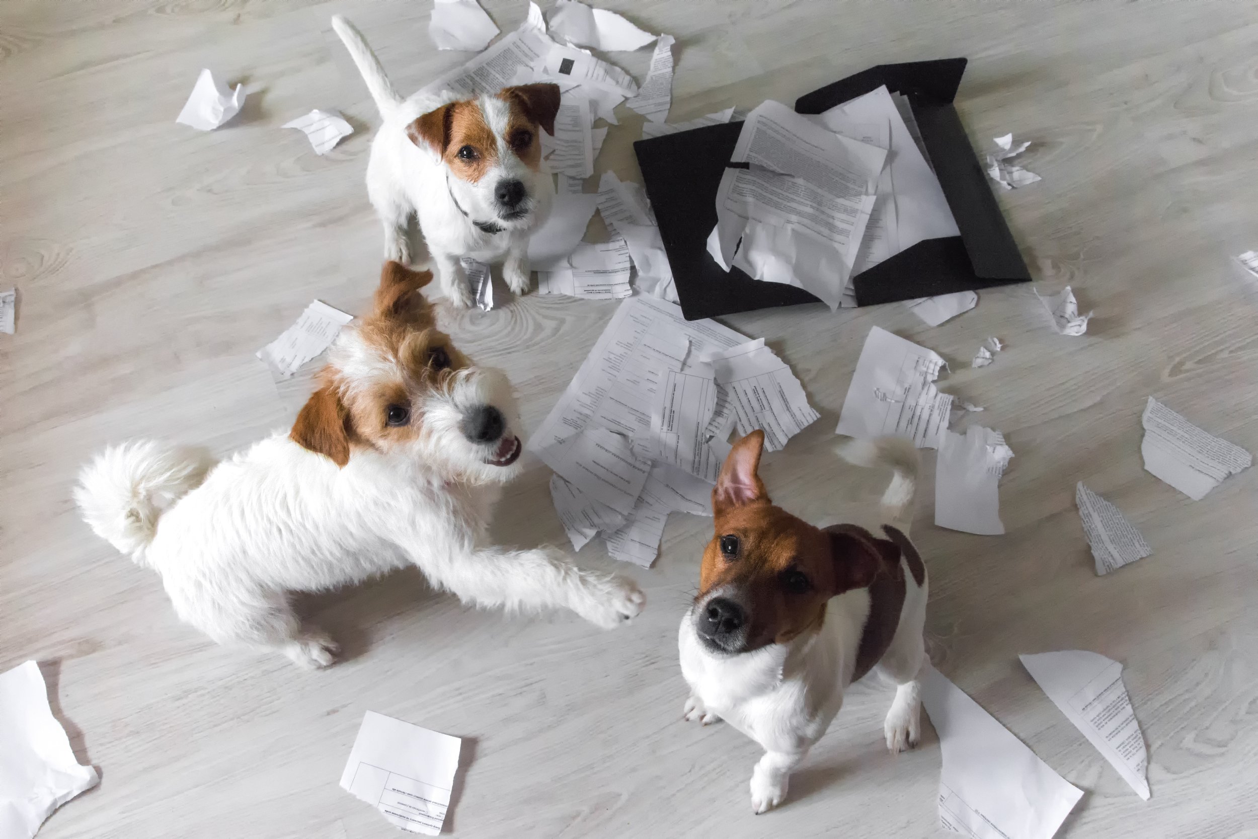 Shred Day is May 30th!