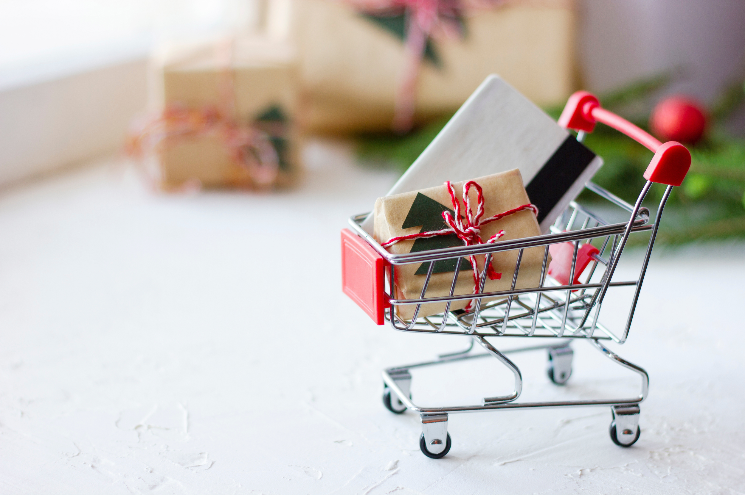 Holiday Scams to Avoid This Season