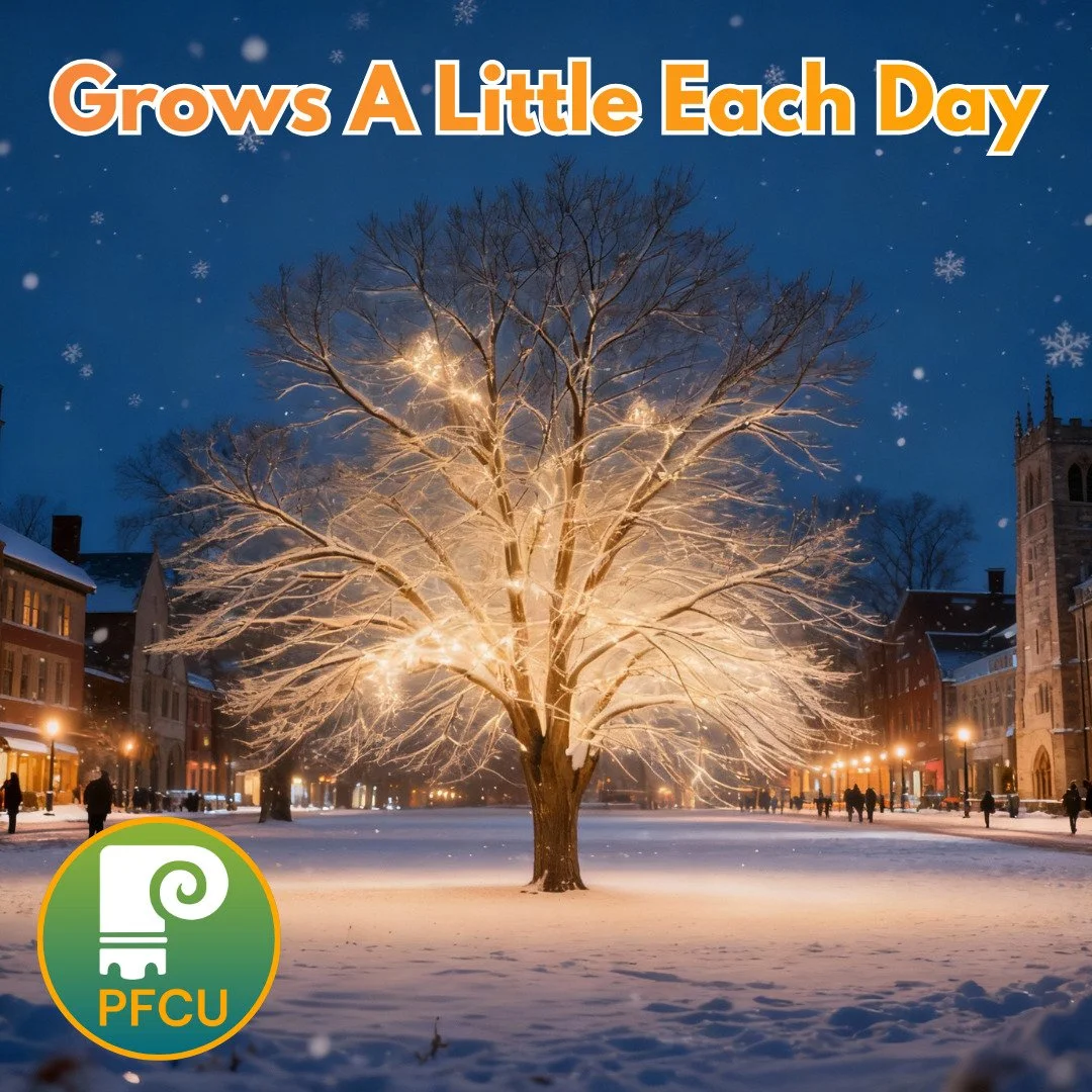 Give yourself the ultimate gift in 2026: financial growth. Open a Savings Certificate today (works similarly to a CD you'd get at a bank), earn rates over 3% for certain terms, and start saving for a future that&rsquo;s guaranteed to shine!
These are