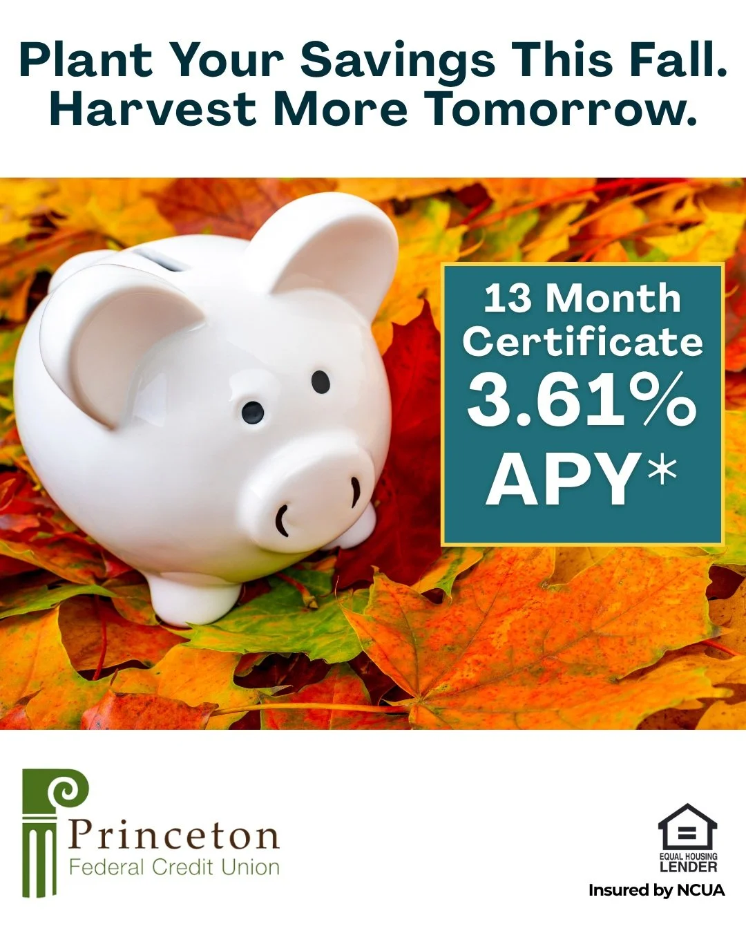 🍂 A thoughtful savings strategy can help your money work harder.
Princeton Federal Credit Union (PFCU) is currently offering a 13-Month Share Certificate earning 3.61% APY*, providing a competitive fixed return and a secure way to grow your savings.