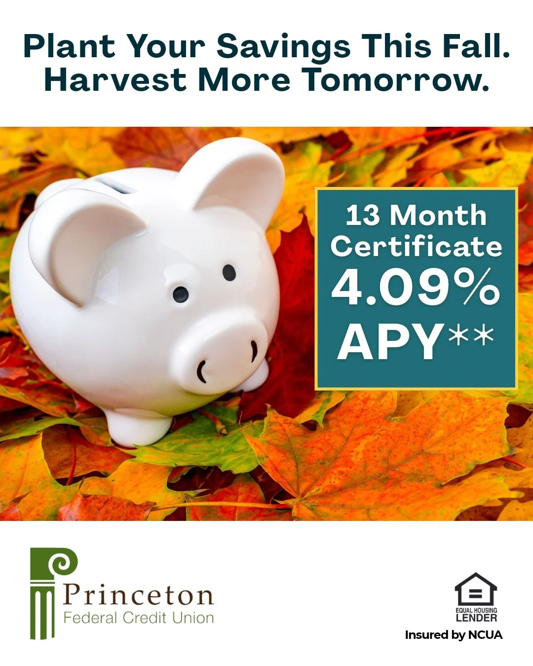 🍂 A thoughtful savings strategy can help your money work harder.

Princeton Federal Credit Union (PFCU) is currently offering a 13-Month Share Certificate earning 4.09% APY*, providing a competitive fixed return and a secure way to grow your savings