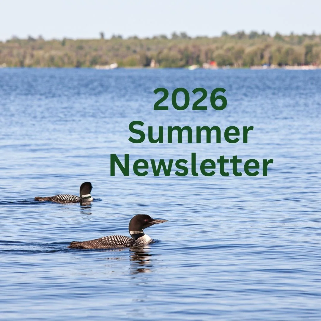 The Quarterly Newsletter - Summer 2026 