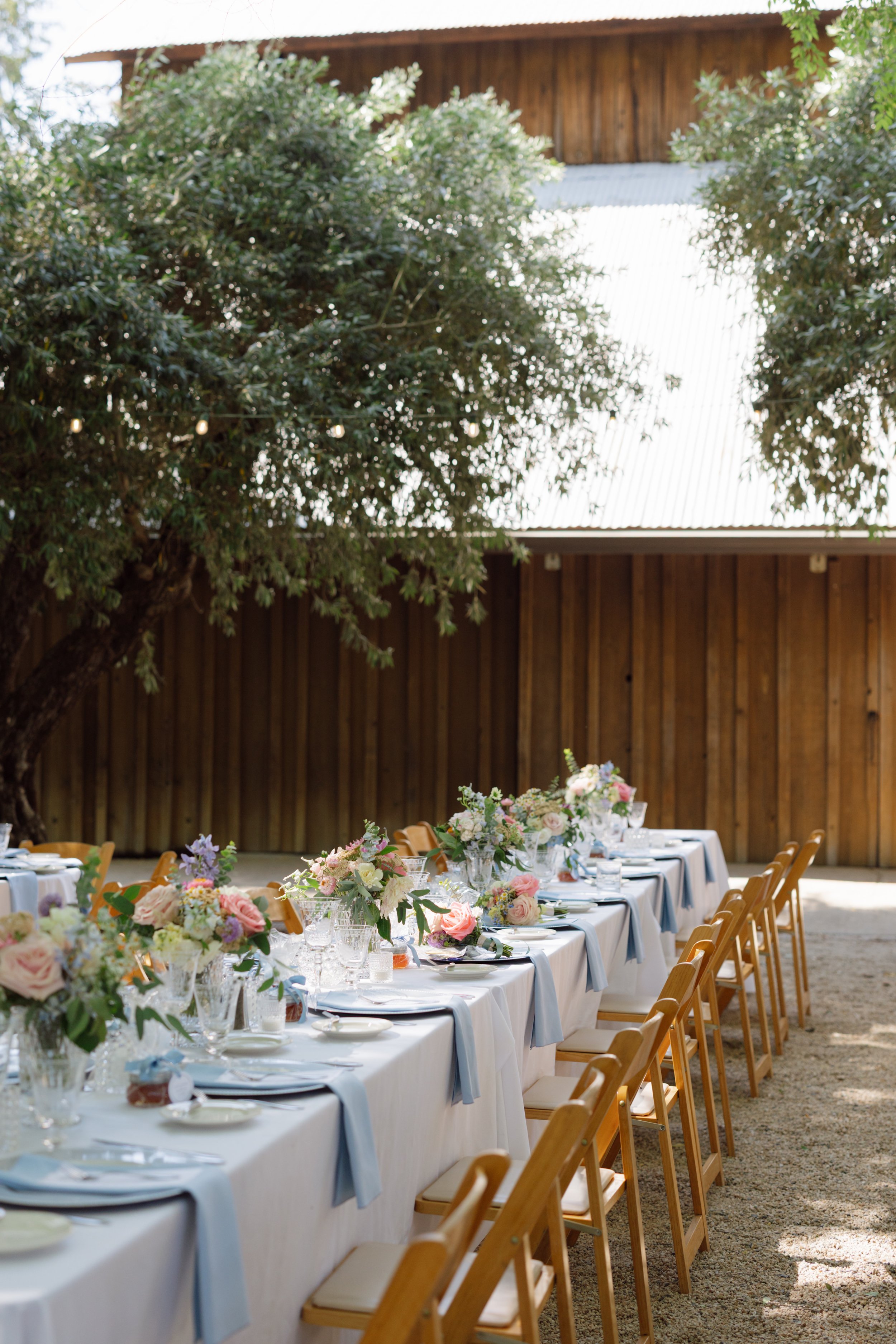 Outdoor Reception - Wine County Wedding
