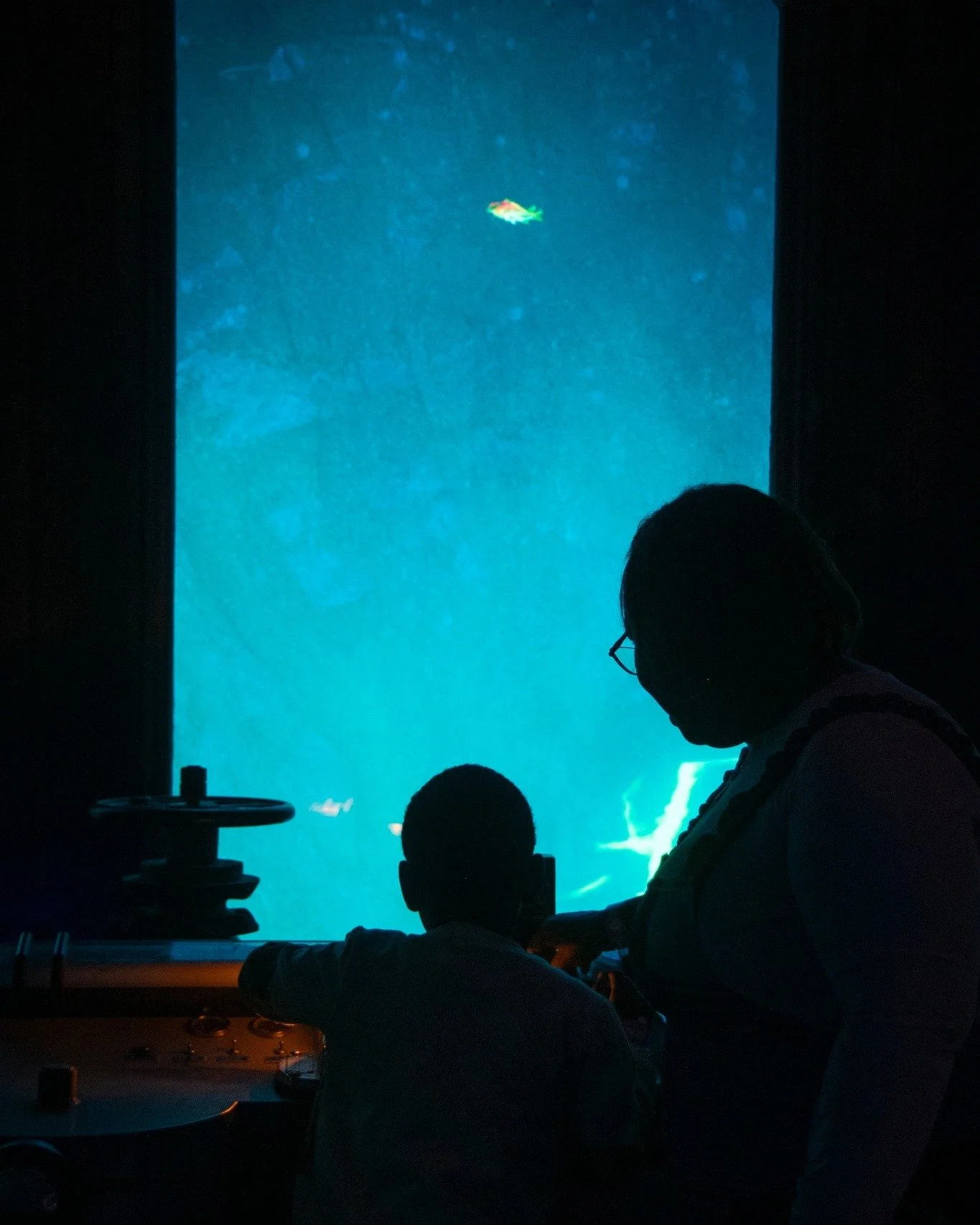 Journey together aboard the Green Dragon...Wander between worlds.

#BVO #BVOEXP #immersiveexperience #bvo4memphis