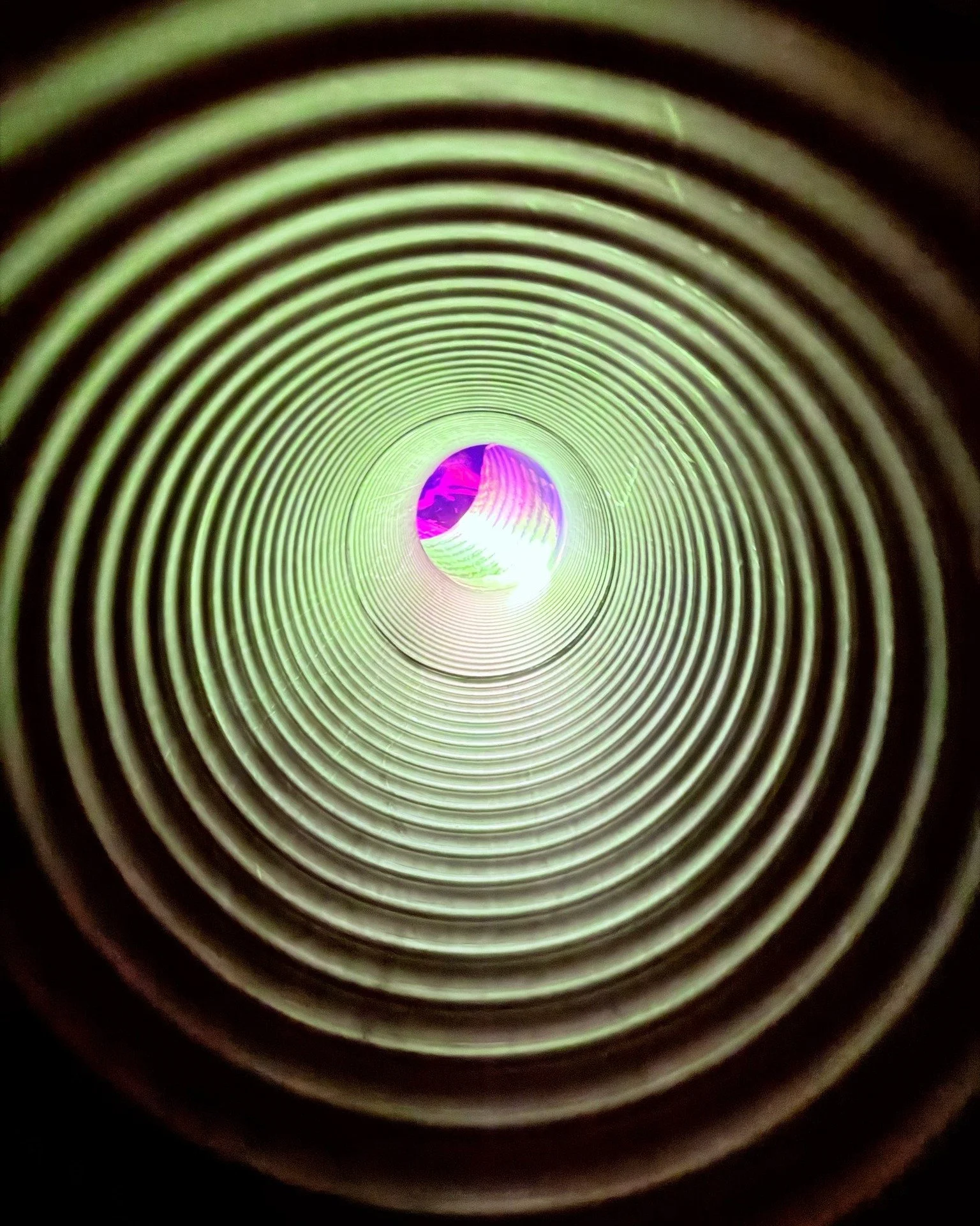 Have you found this hidden in the BVO multiverse?

#BVO #bvoexp  #MudIsland #ExploreMemphis #ThingsToDoInMemphis