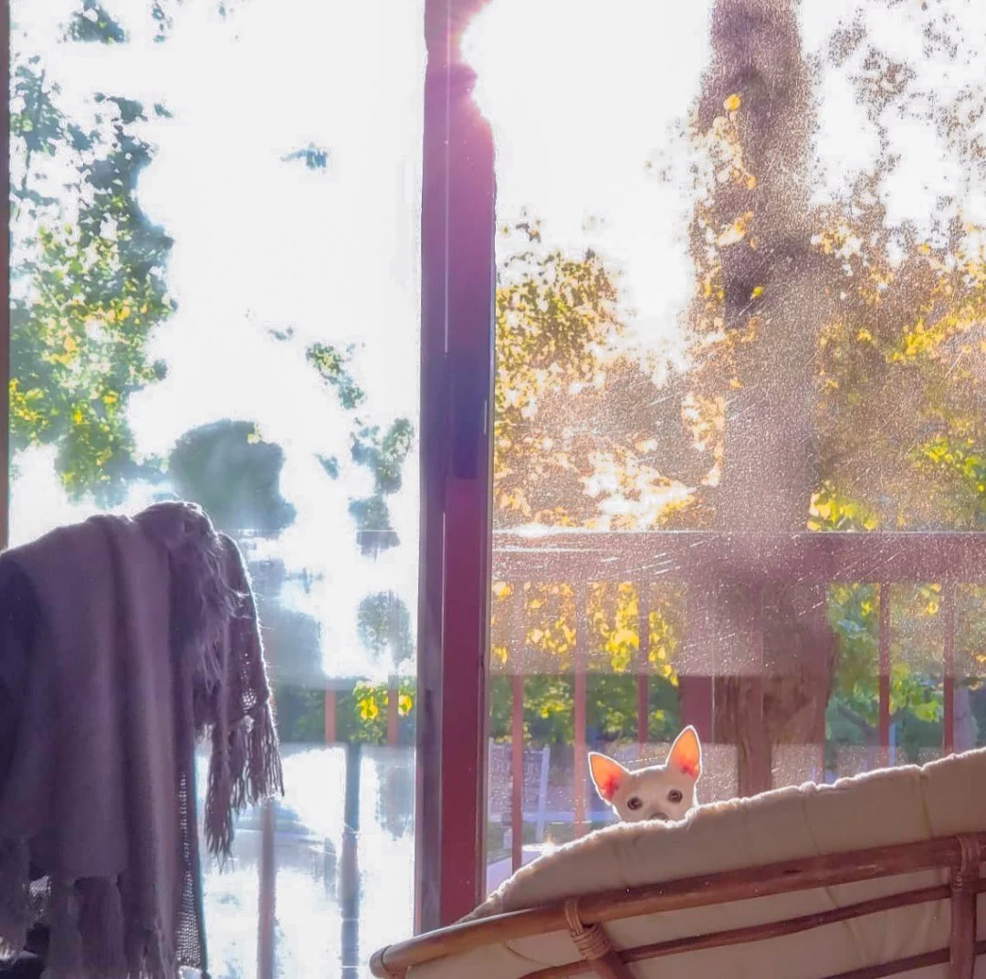 Living Through Grief After Loss