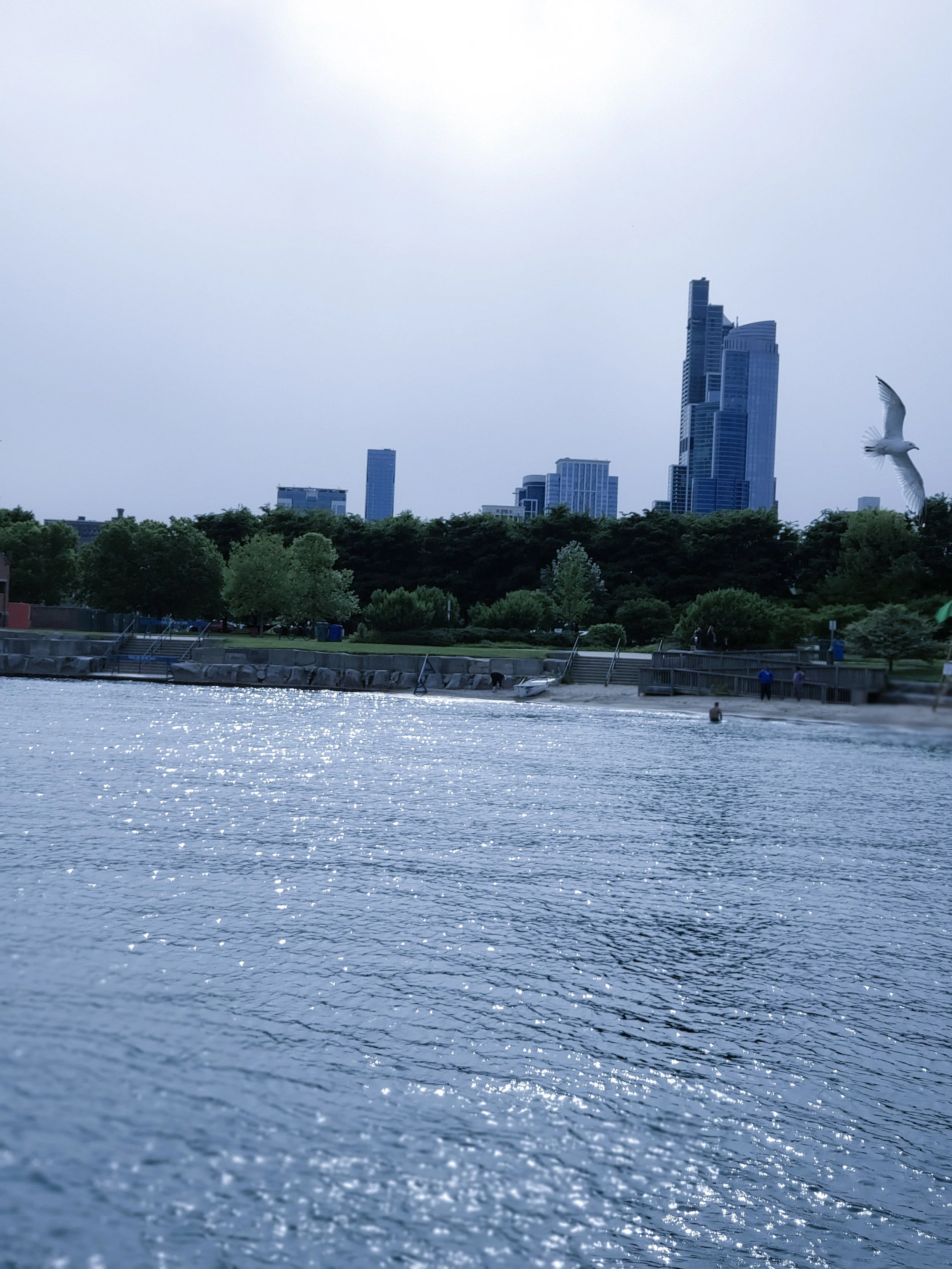 1-20190603_170835.jpg