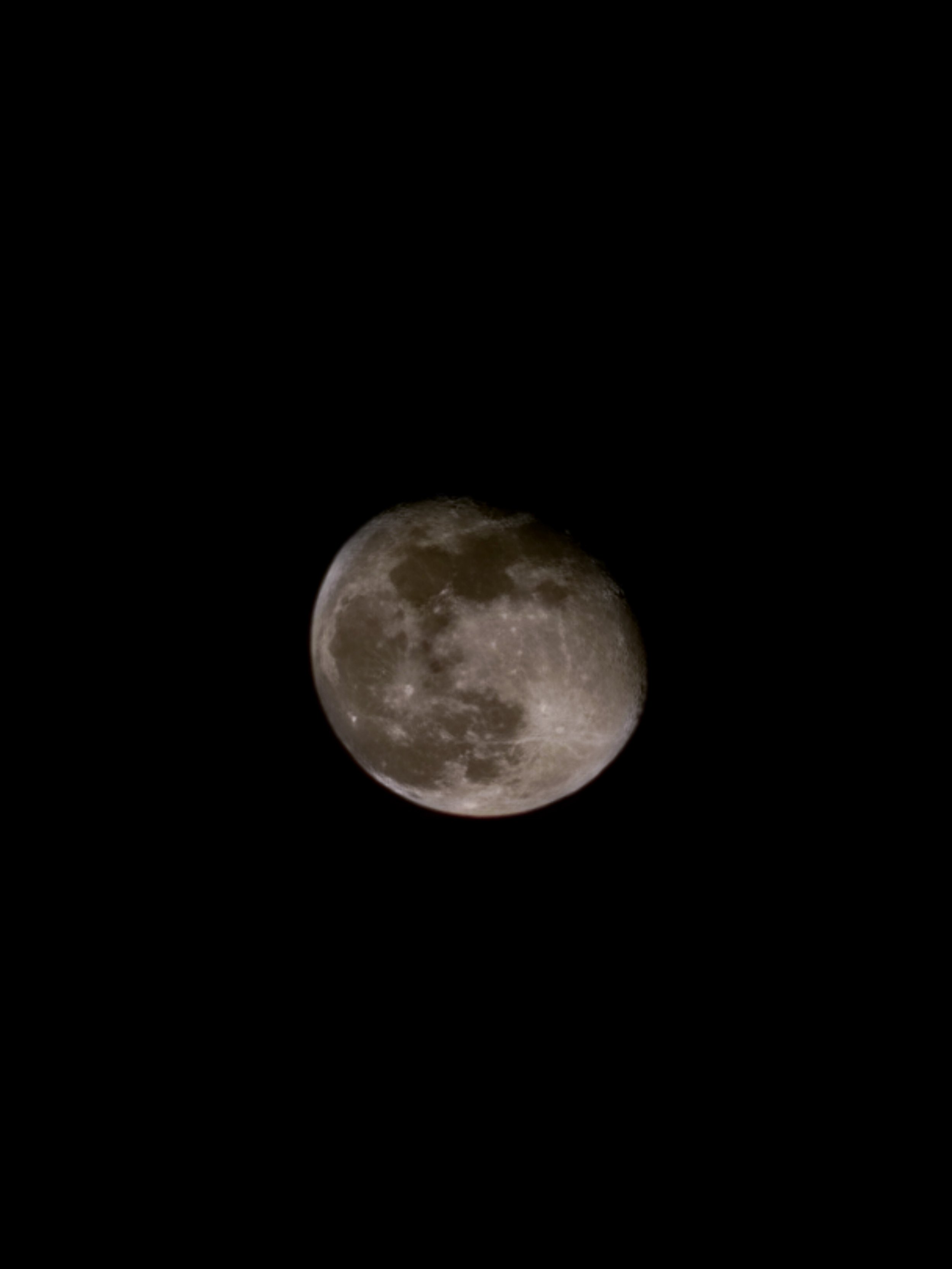 20251206_191330.jpg
