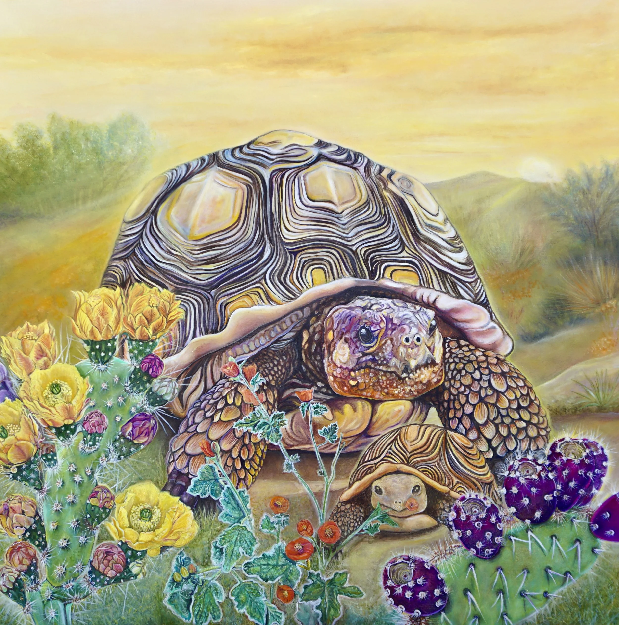 Fauna of Love: Desert Tortoise