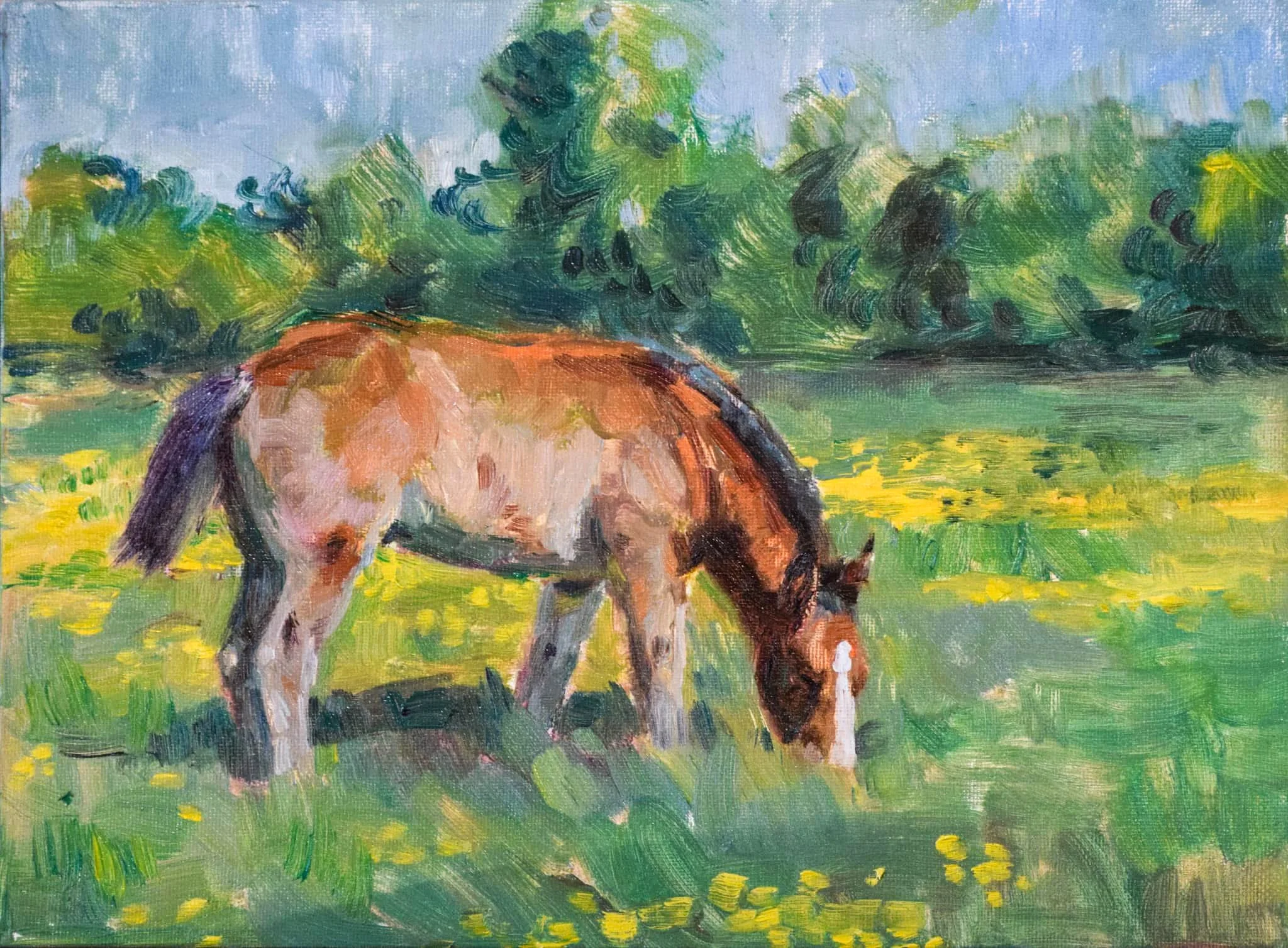 'Foal in Field' - 9x12 Horse Painting