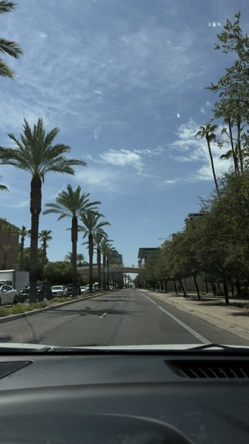University Palms