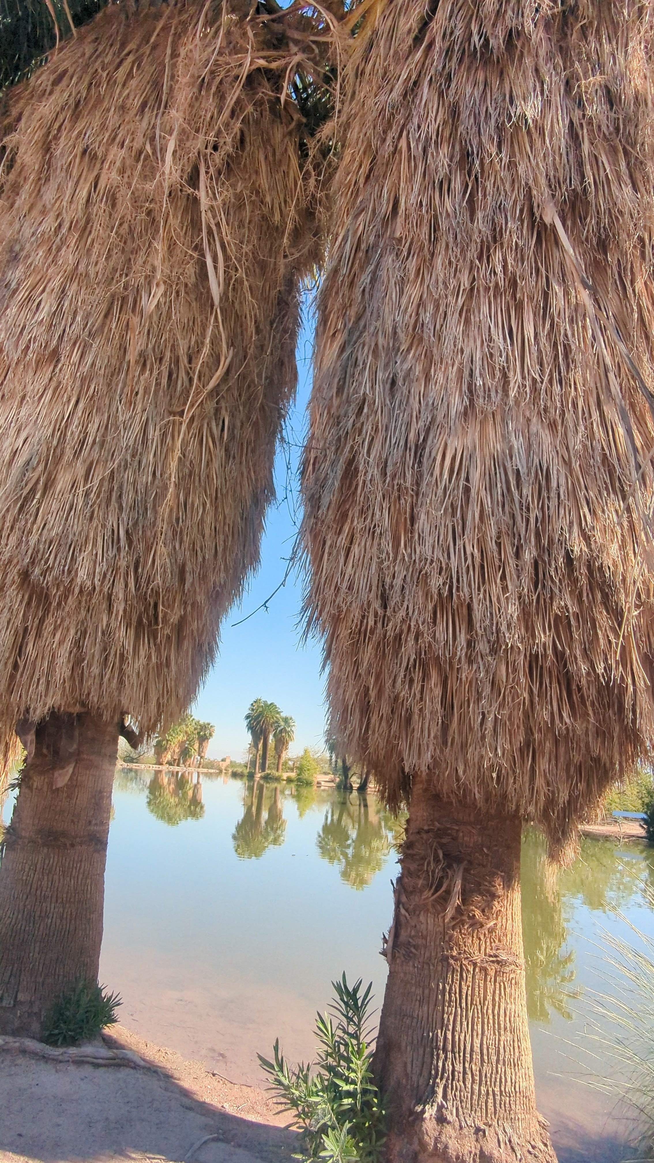 Spend Time with the Trees