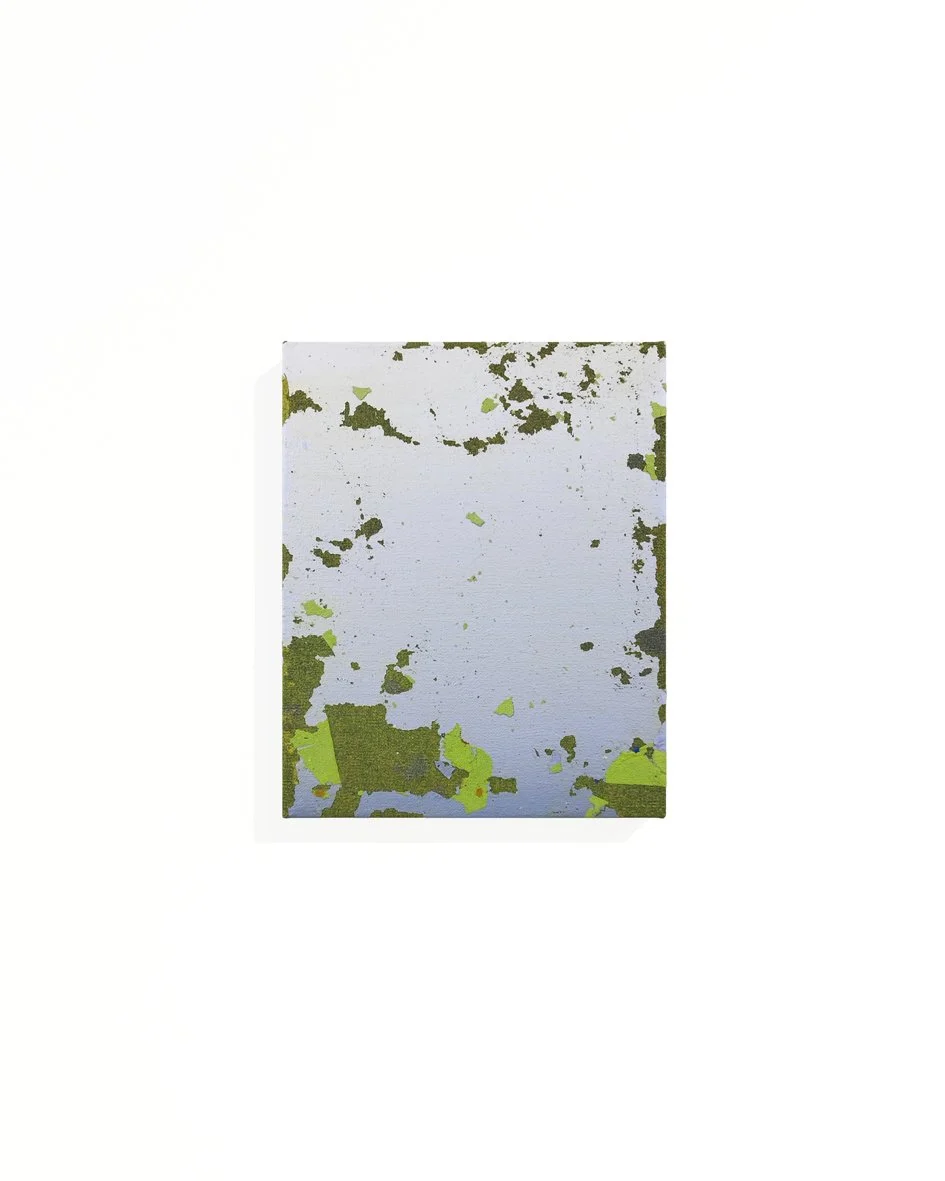 Approach. Flor de romero_dimasla.jpg