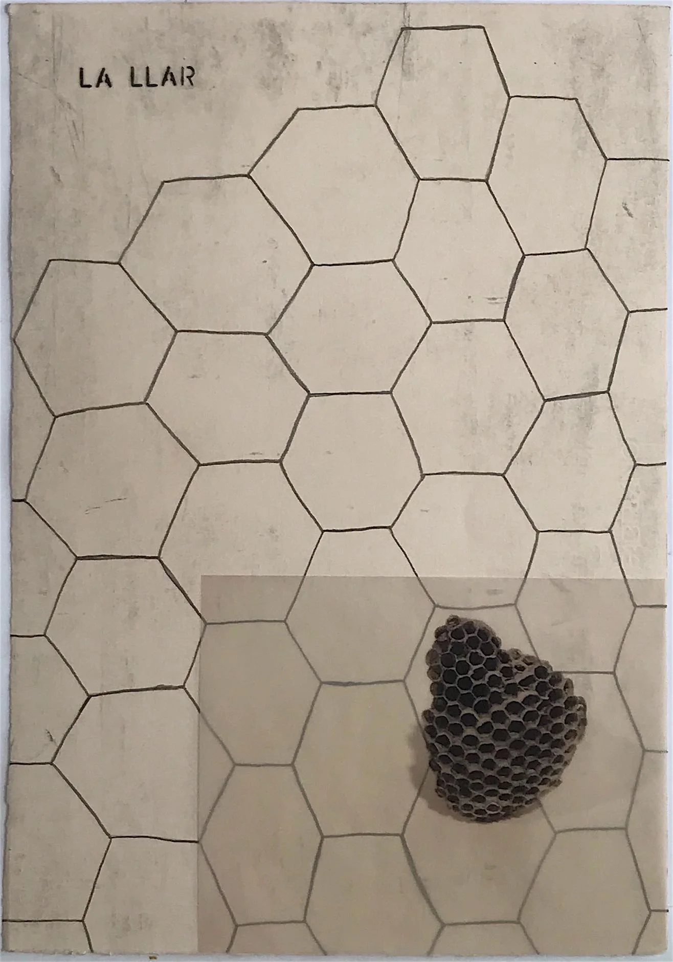 vicent overlock.jpeg