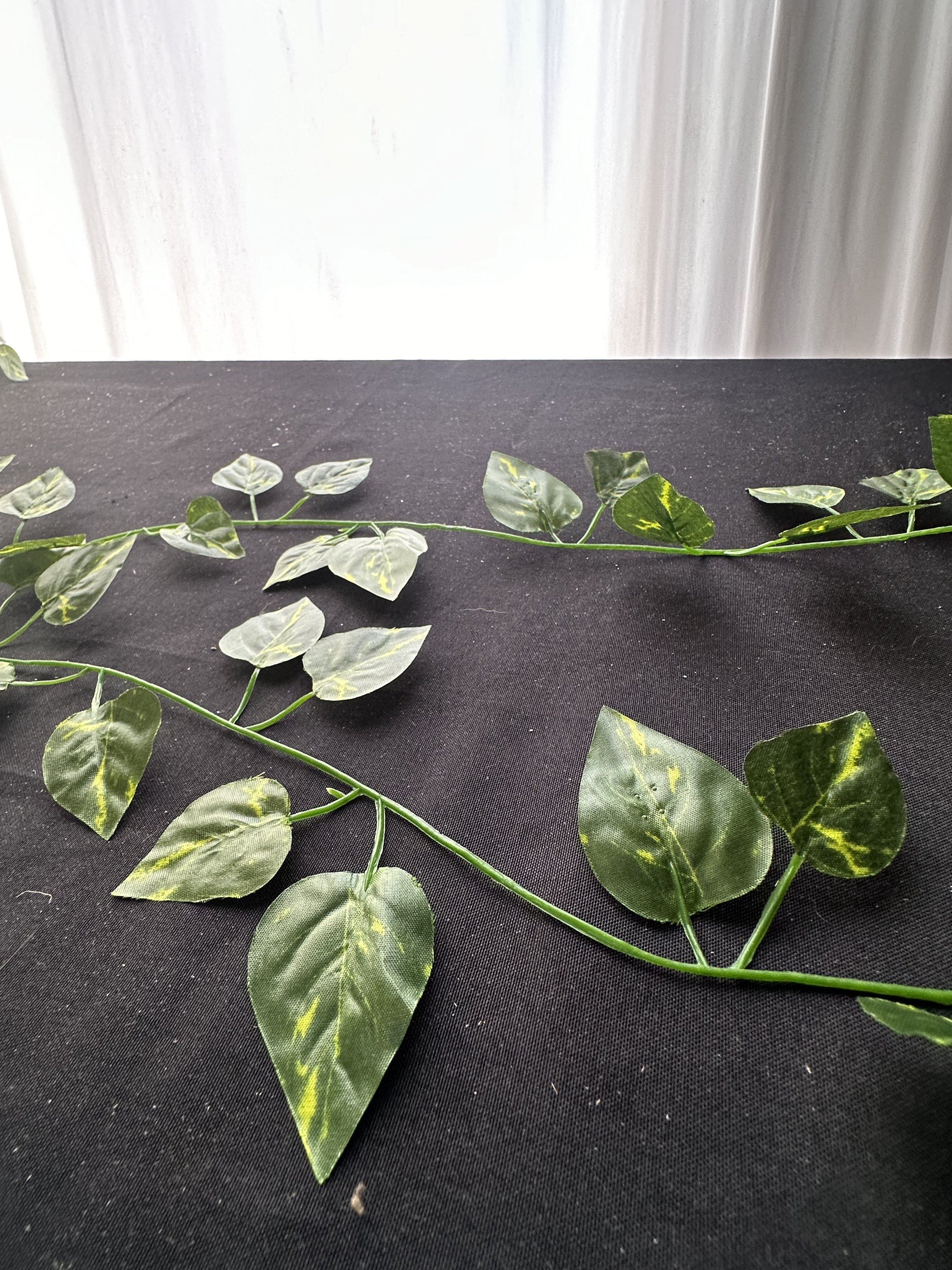 Ivy runner