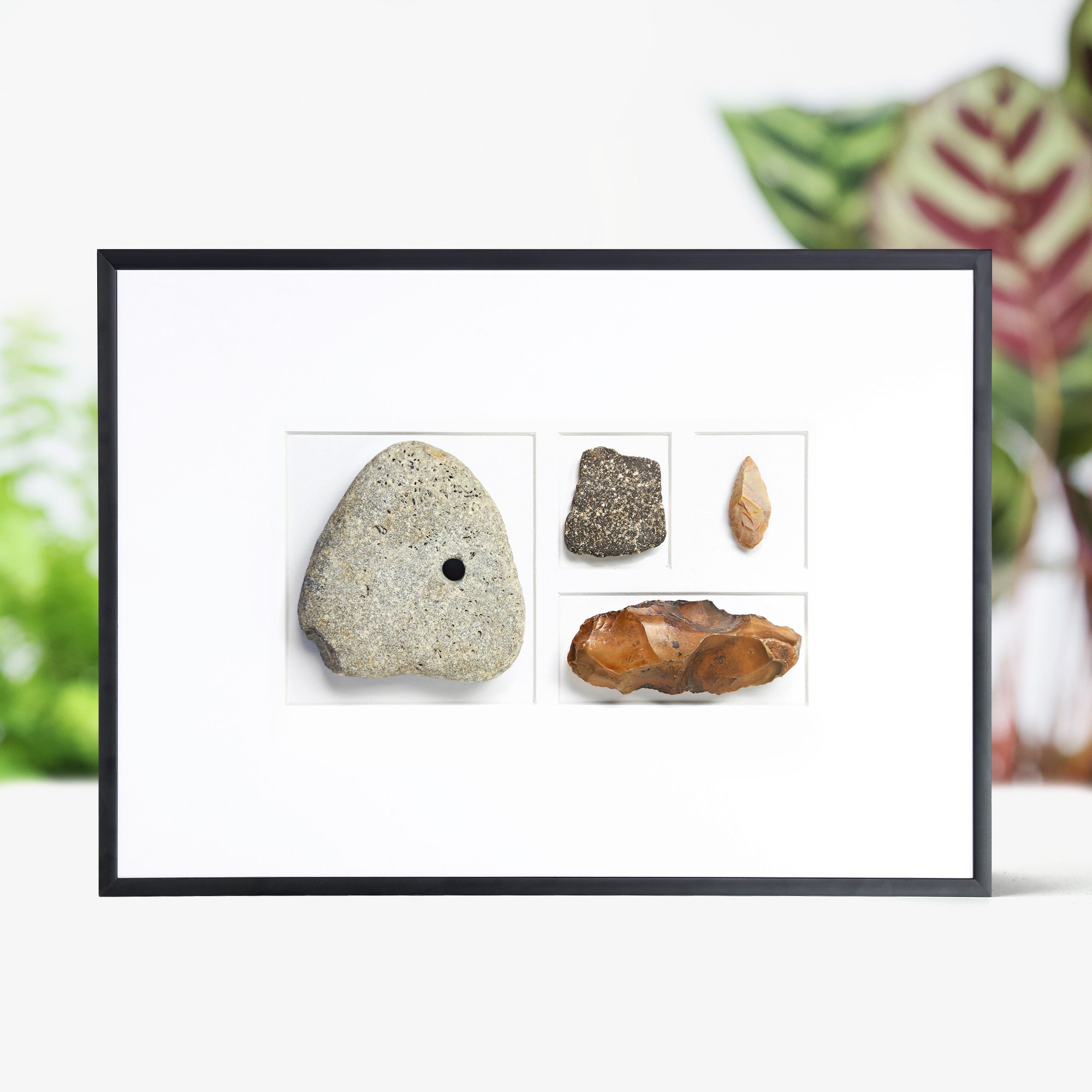 neolithic-collection.jpg