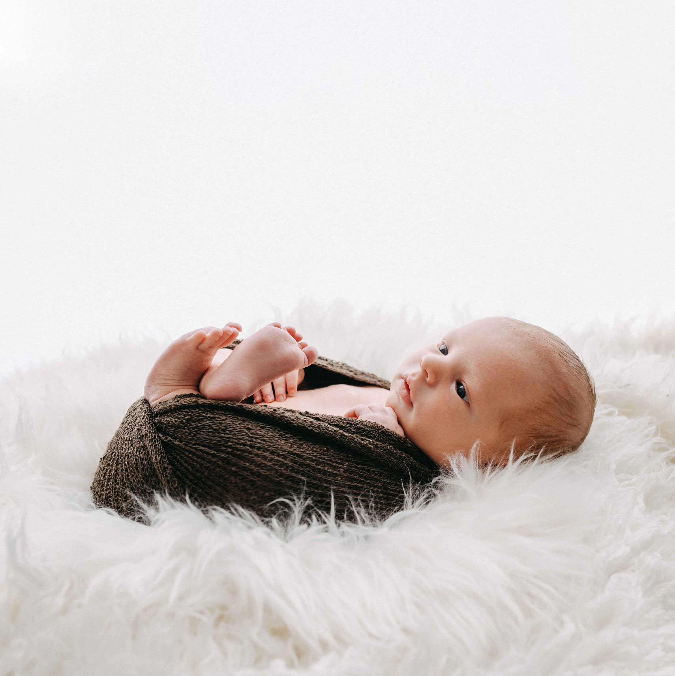 Ein Newborn liegt in ein braunes Tuch gewickelt auf einer flauschigen, weissen Unterlage. Das Baby betrachtet aufmerksam seine Umgebung.