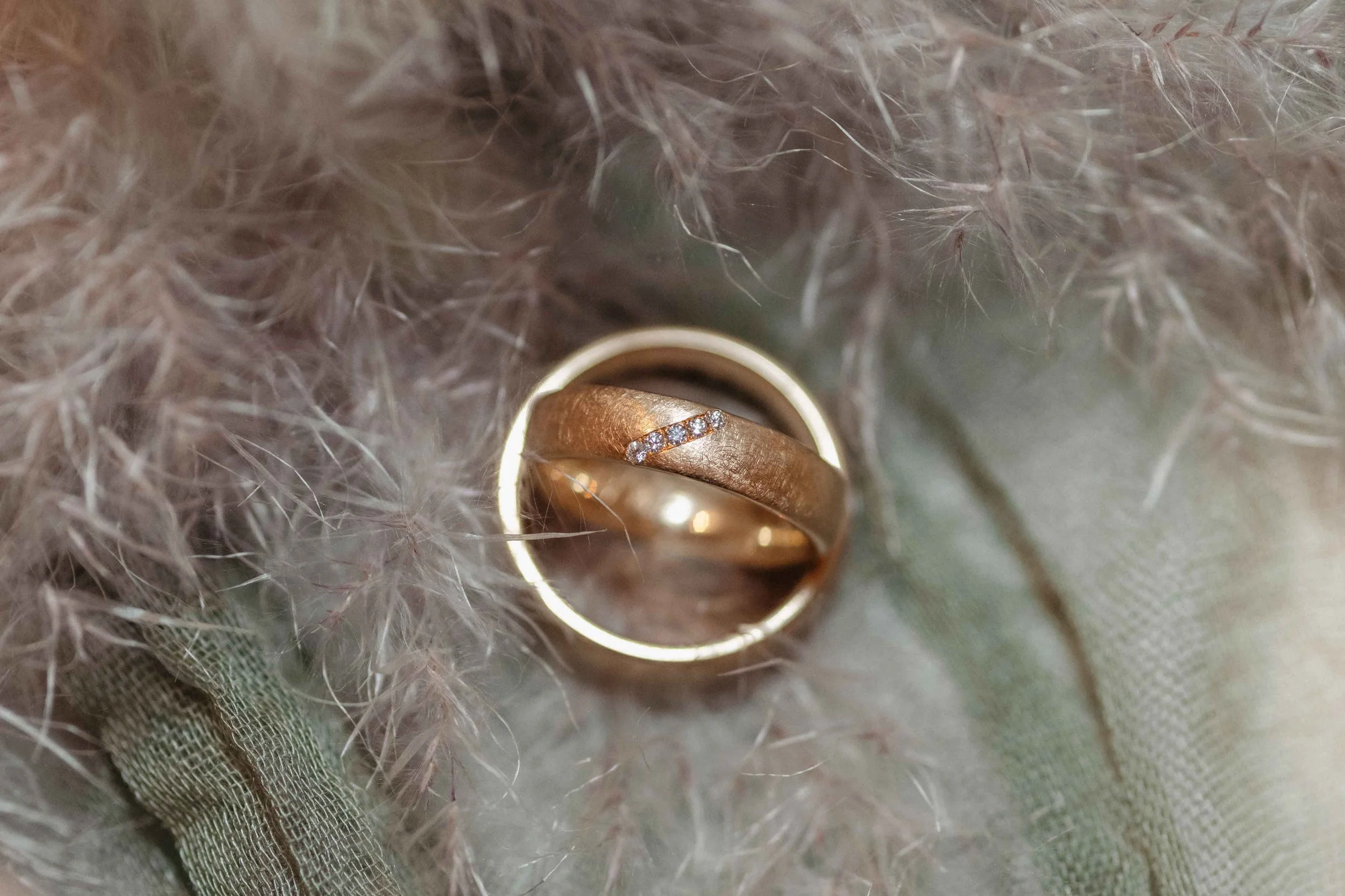 Eheringe, einer mit Diamanten, liegen auf einer weichen, kuscheligen Oberfläche.