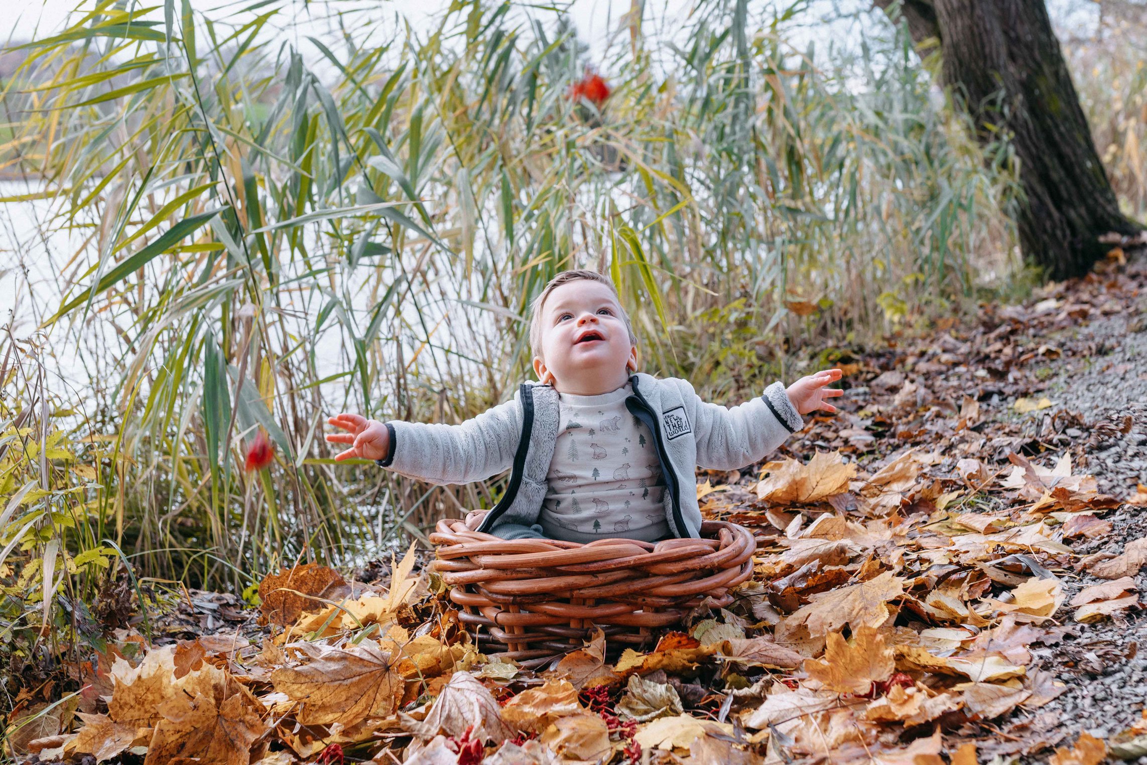 Ein Baby sitzt in einem Korb, umgeben von Herbstblättern und Bäumen in einer natürlichen Umgebung. Das Kind blickt nach oben und scheint mit den Blättern zu spielen.
