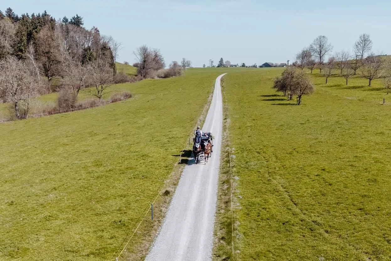 Eine Schotterstrasse in einer grünen Hügellandschaft, ein Pferdekutsche fährt die Strasse entlang Brautpaar und Trauzeugen in der Kutsche.
