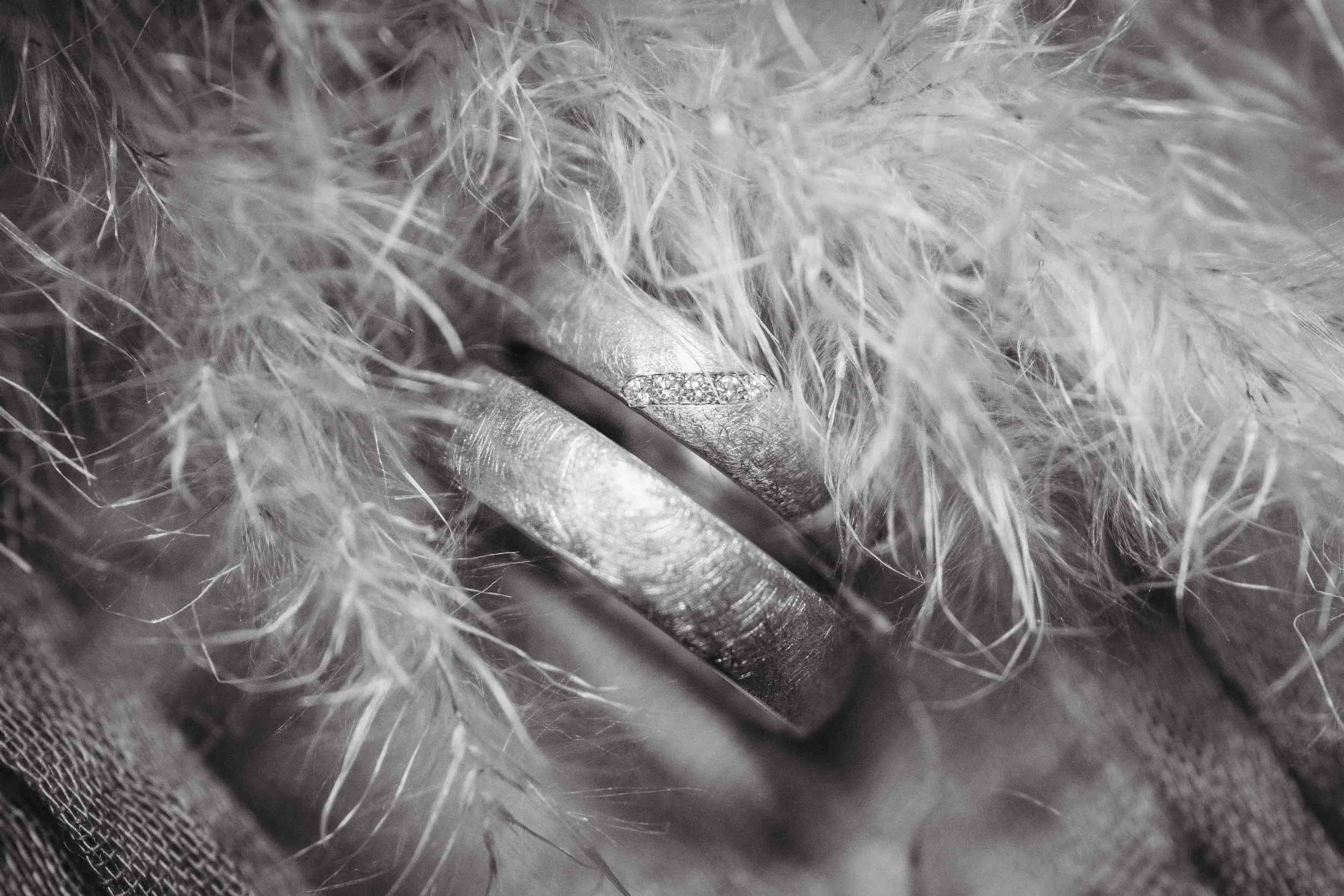 Nahaufnahme der Eheringe aus Metall mit kleinen Edelsteinen, der auf einem Fell liegt.