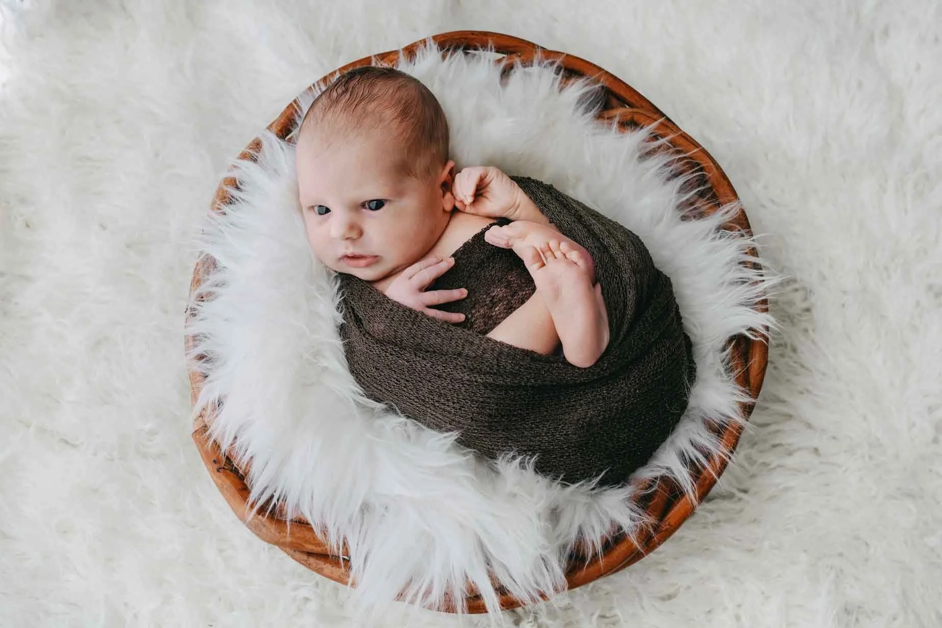 Säugling liegt in einem runden Korb auf einer weissen Fell, eingewickelt in eine dunkelbraune Decke, schaut nach oben.