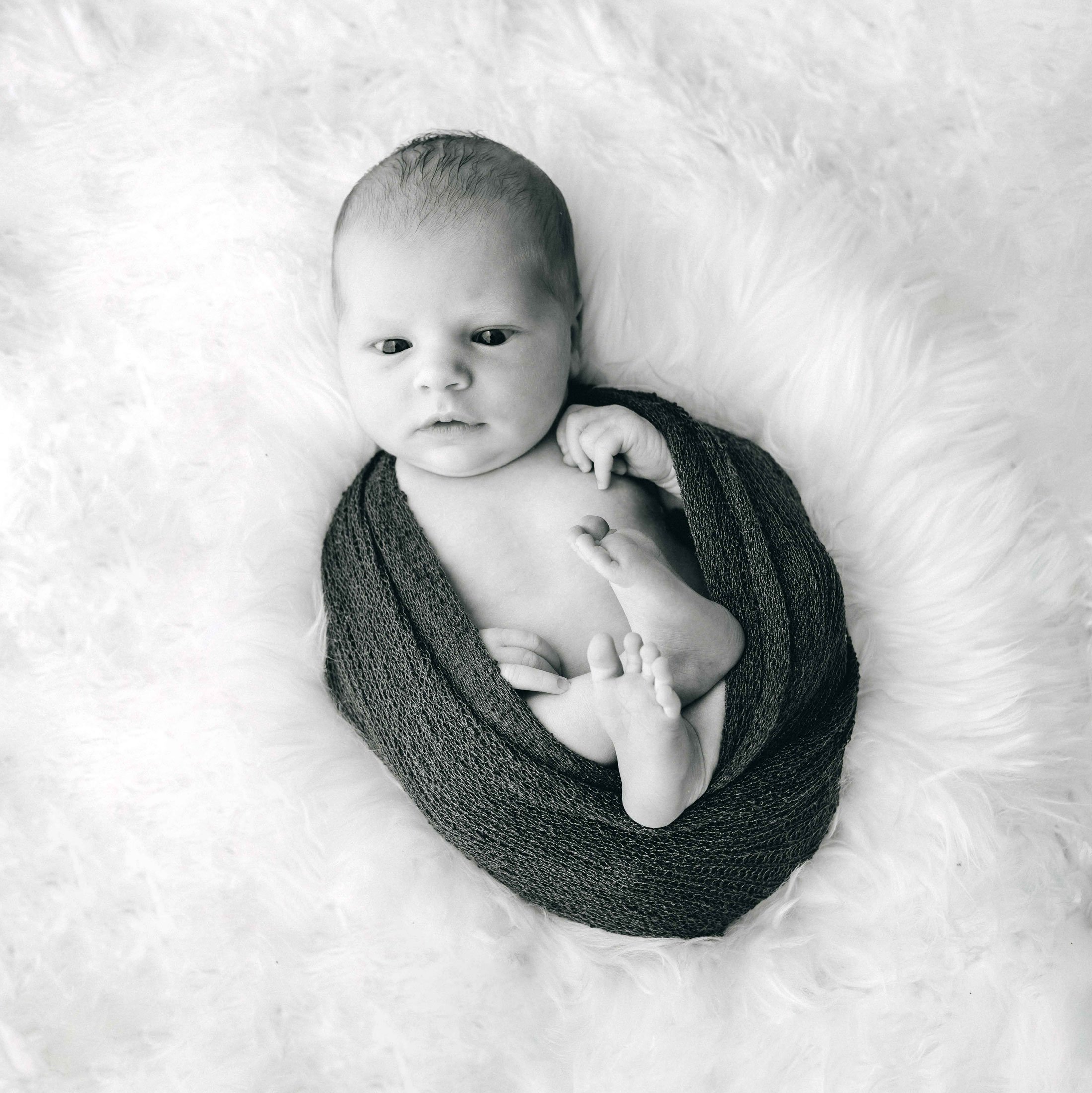 Ein Newborn Baby in einen dunklen Stoff gewickelt, liegt auf einer weichen, flauschigen Decke. Schwarz-Weiss-Fotografie.