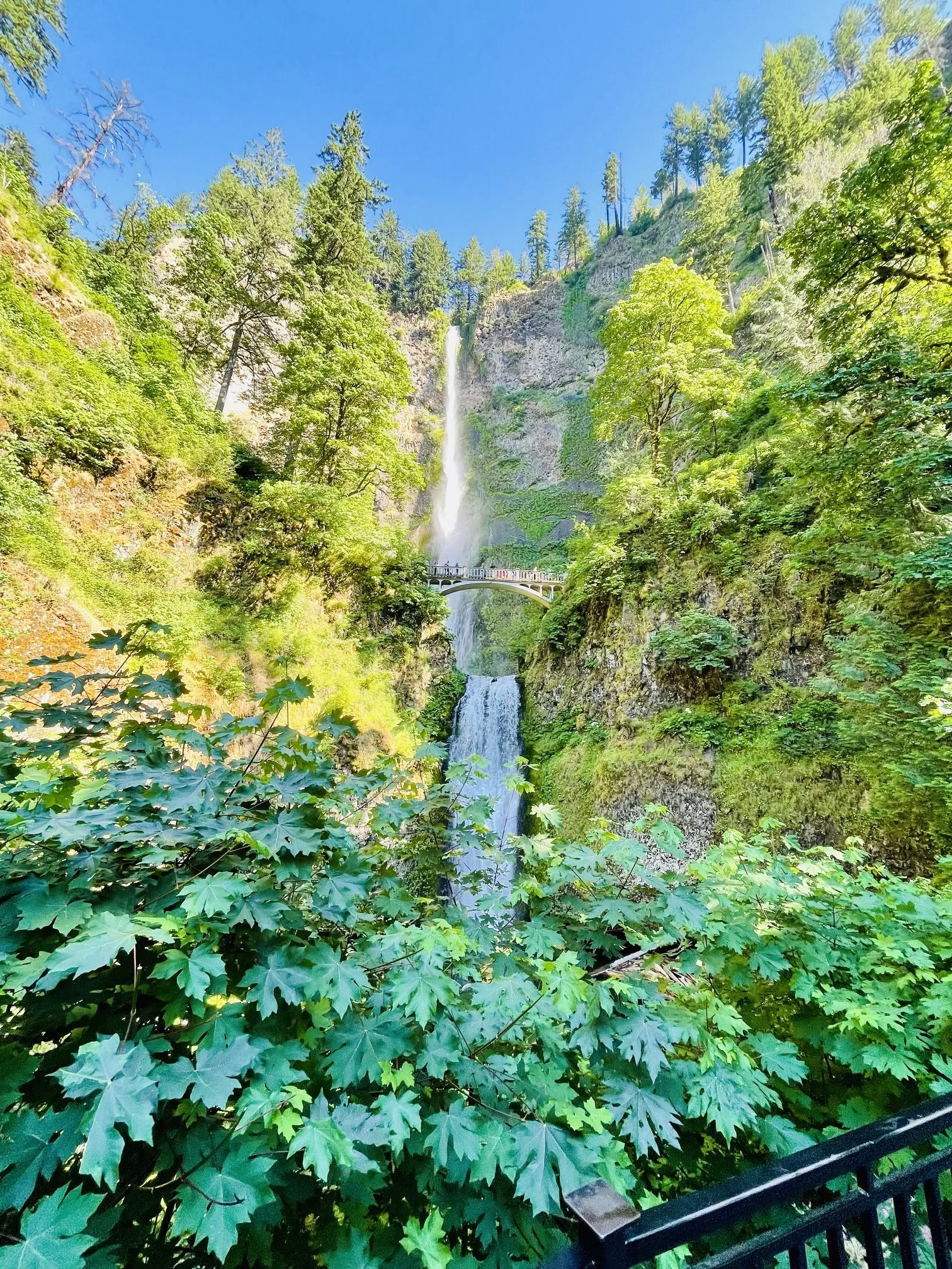 Multnomah Falls