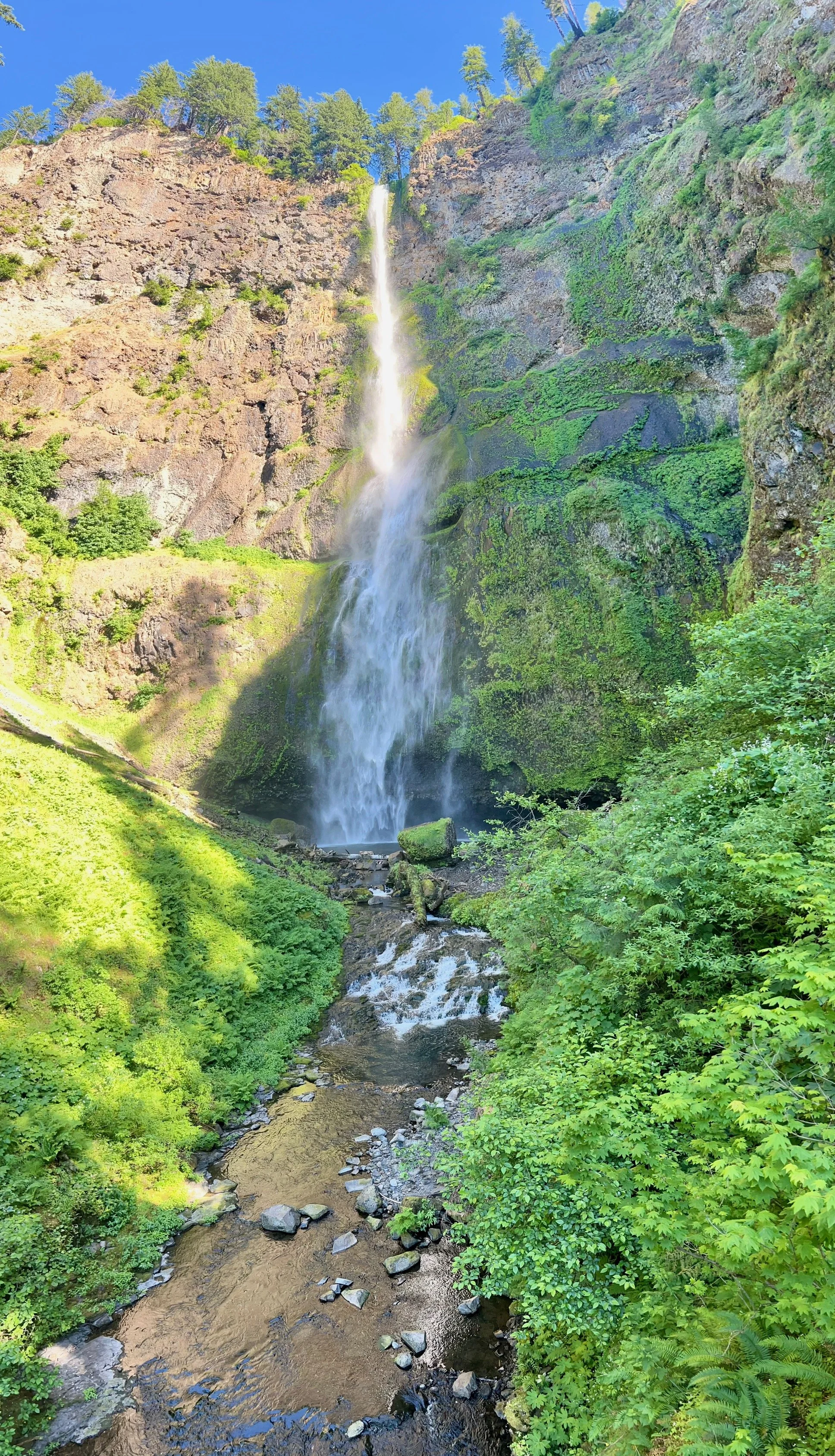 Multnomah Falls view from the Benson Bridge