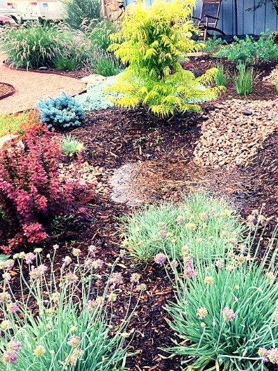 Rainwater Harvesting Workshop with 4CORE and Columbine Landscapes Co