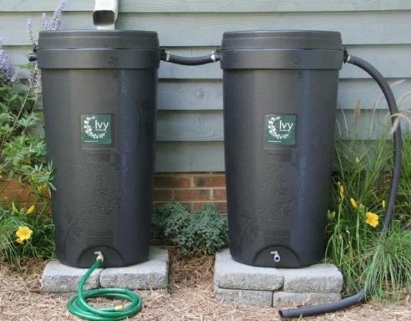 ivy-rain-water-harvesting-barrel-program-through-4-core.jpg