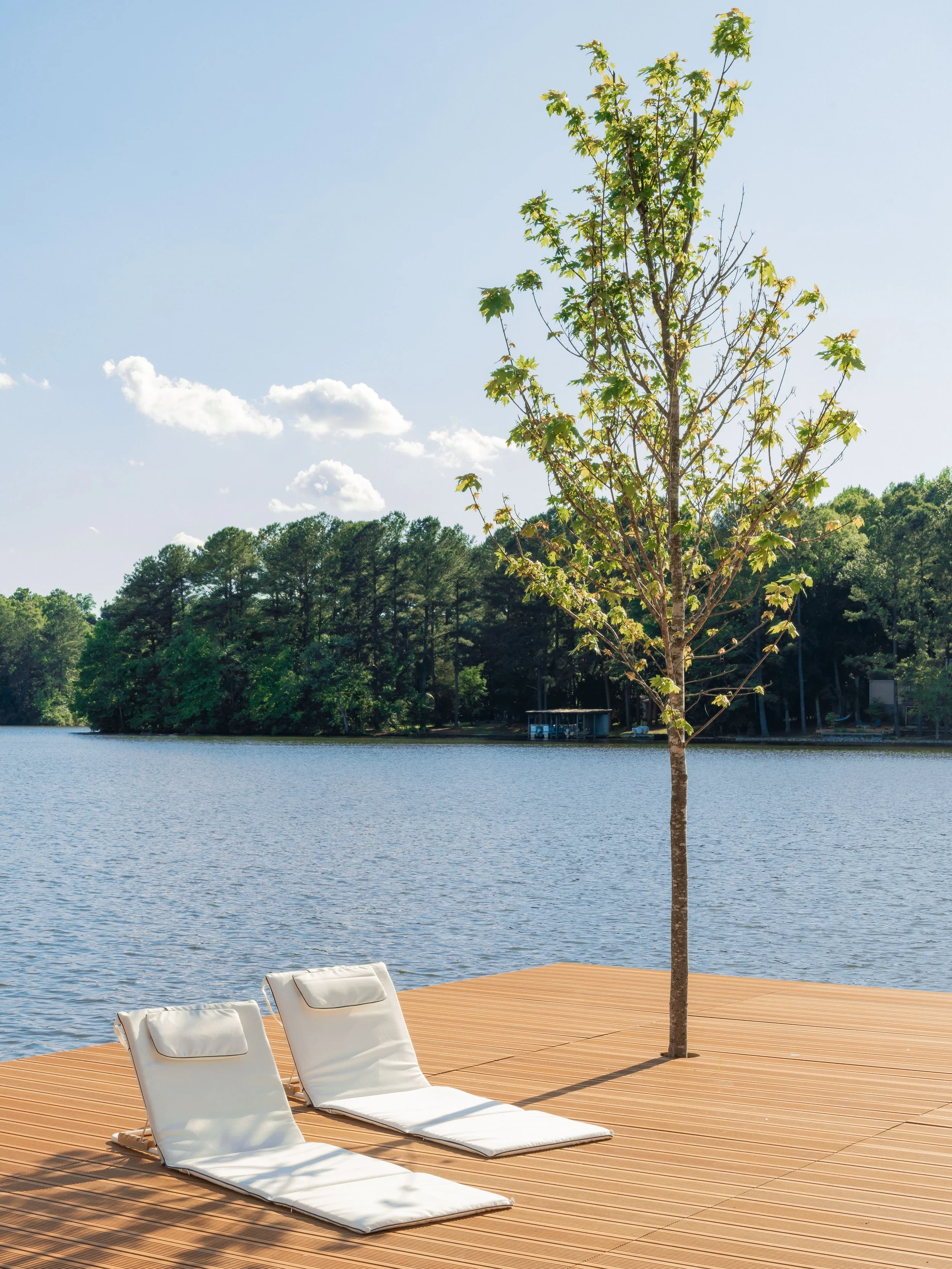 Section 2: Inspiration and Design Concepts