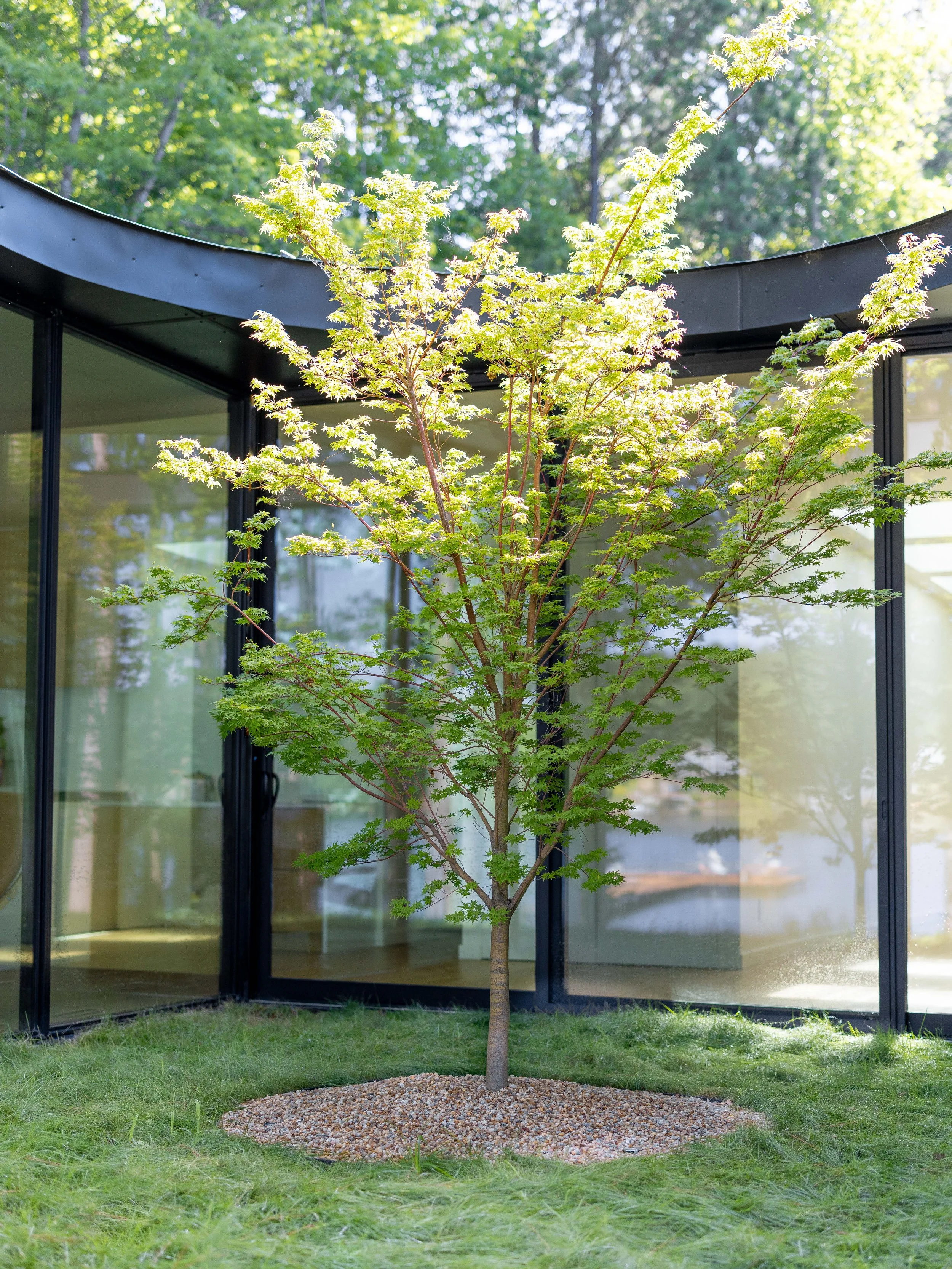 Section 8: Navigating the Construction Process