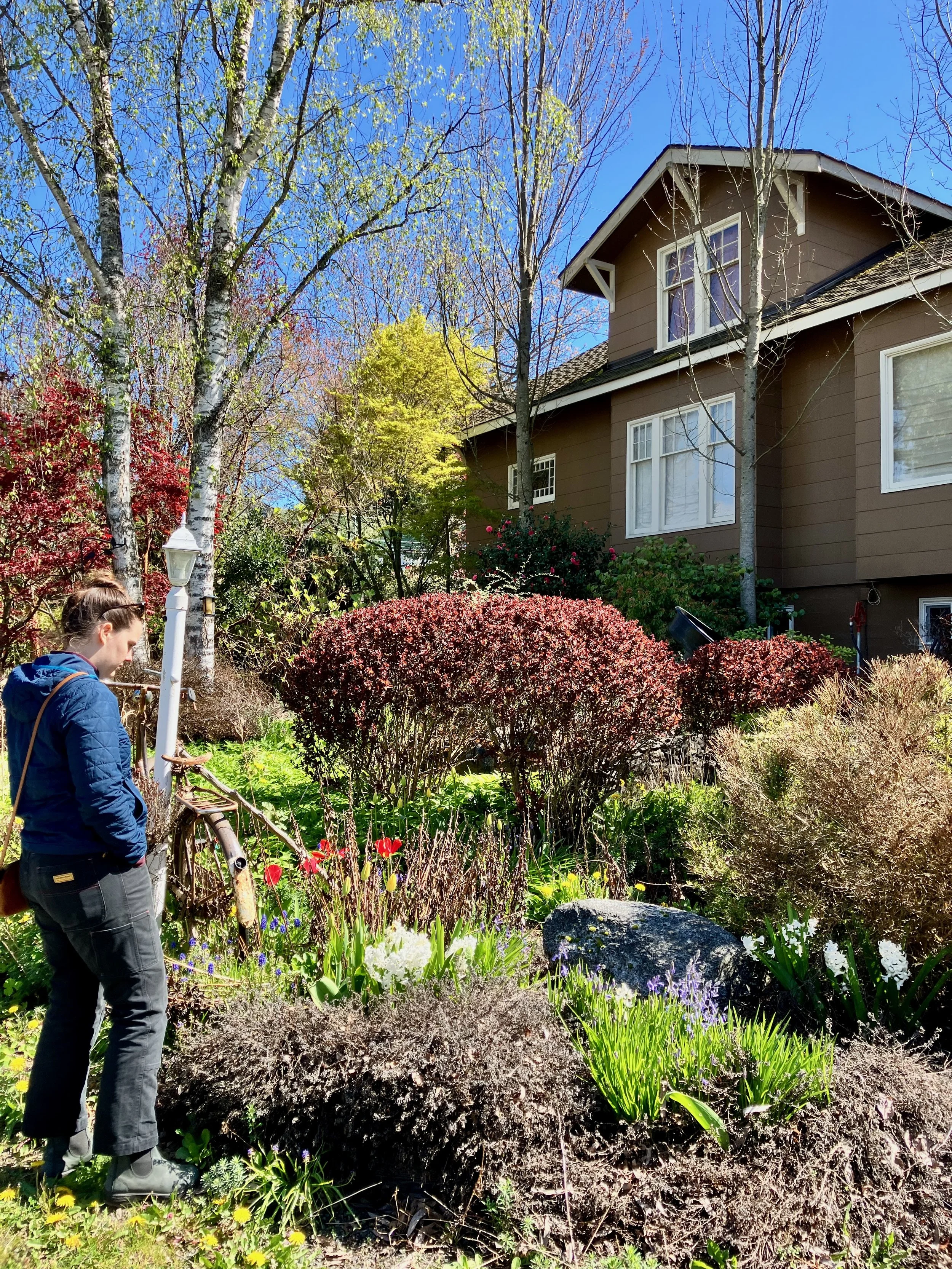 Argyle House Work Days