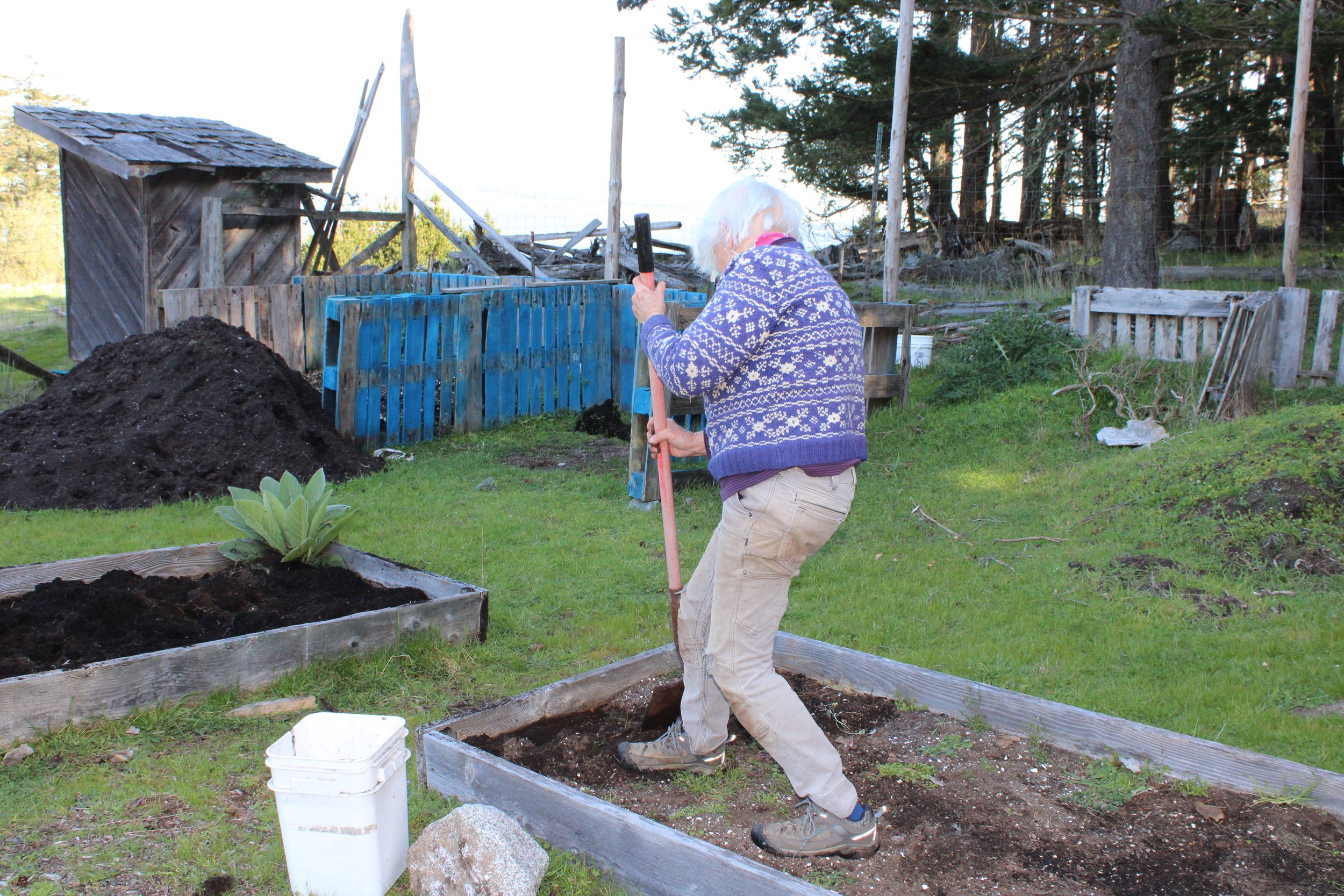 2025-04-12 10.28.50.jpg