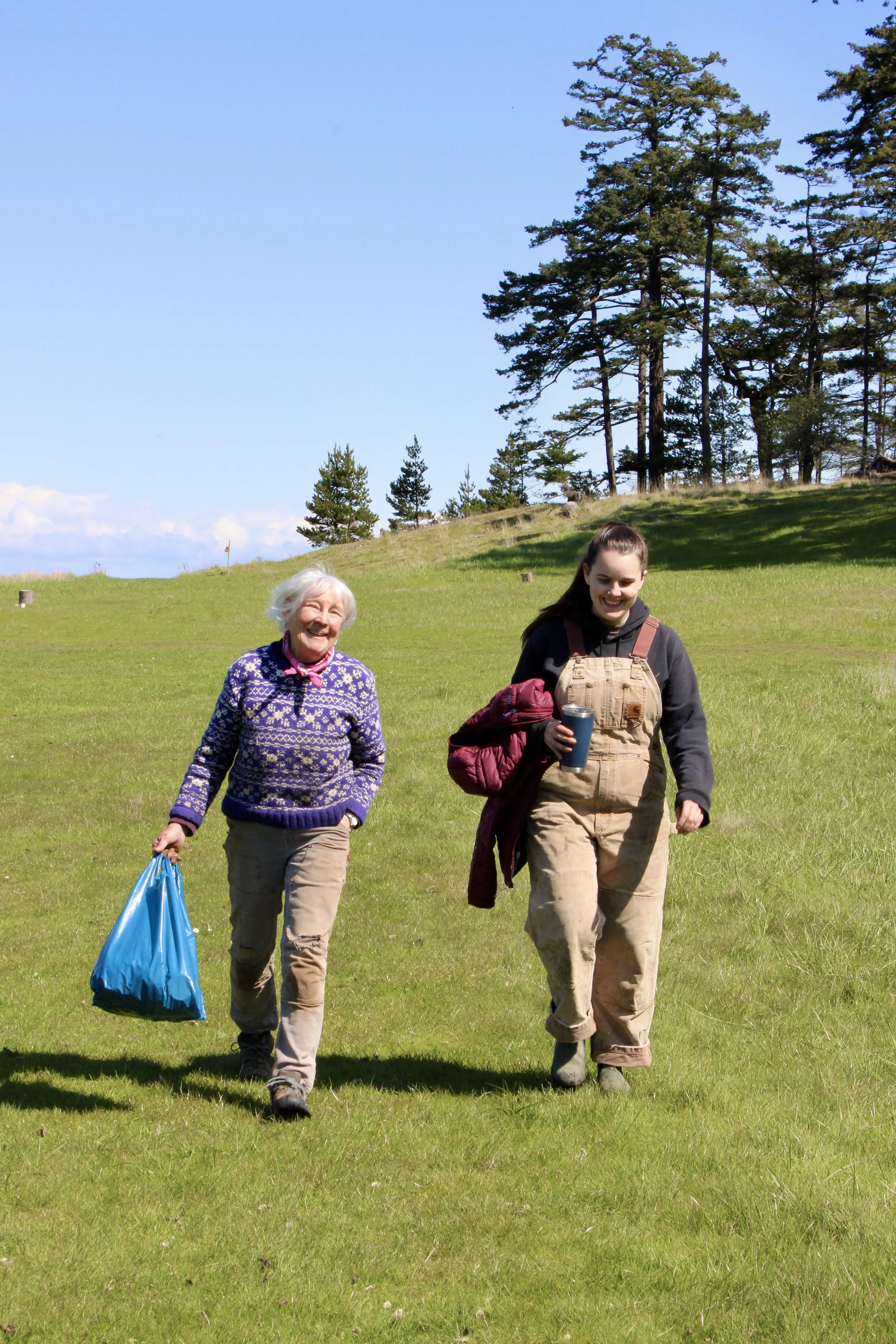 More Than Helping Hands: Celebrating Nor’wester Volunteers