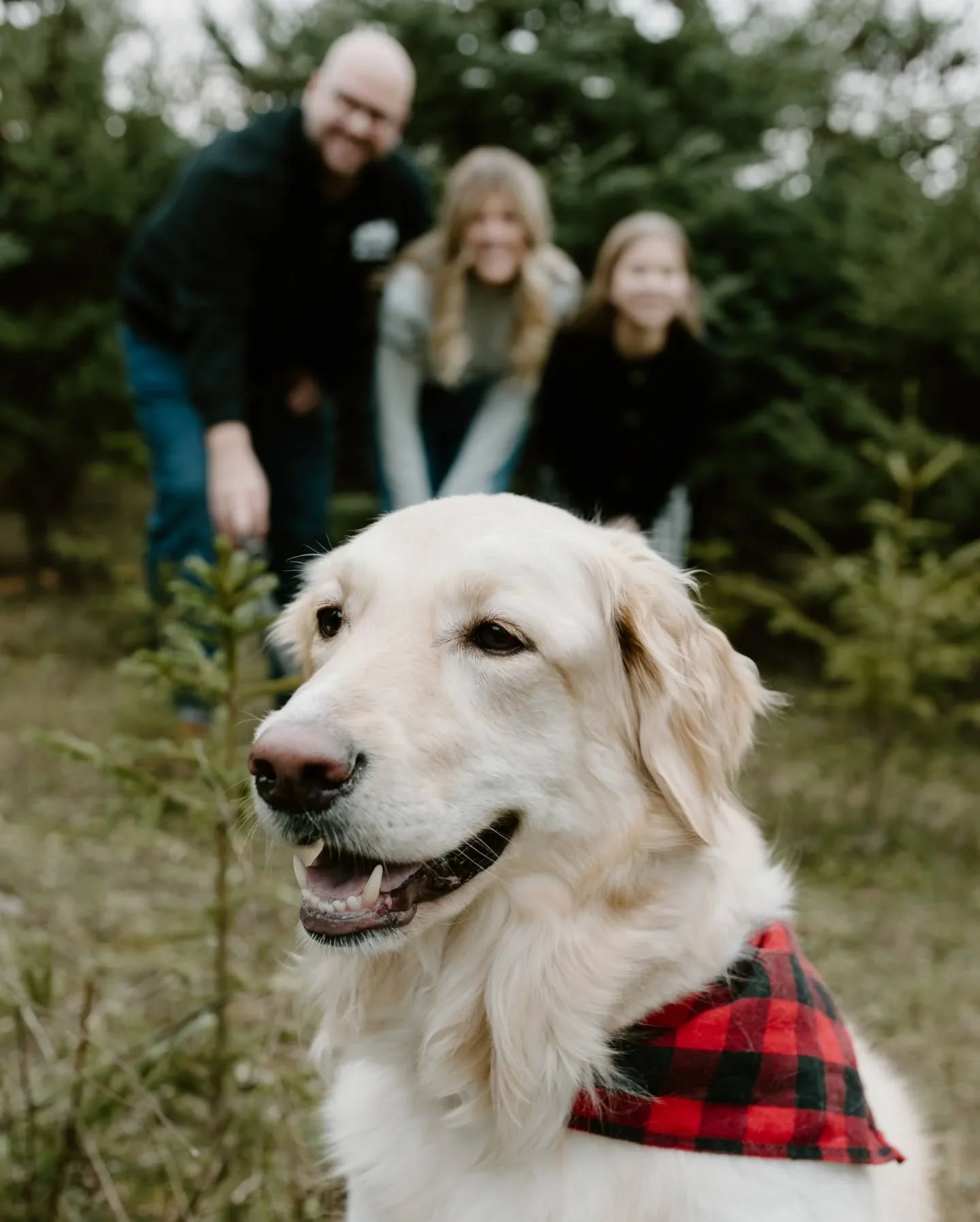 Peaches was the star of the show. 🐶 🌲