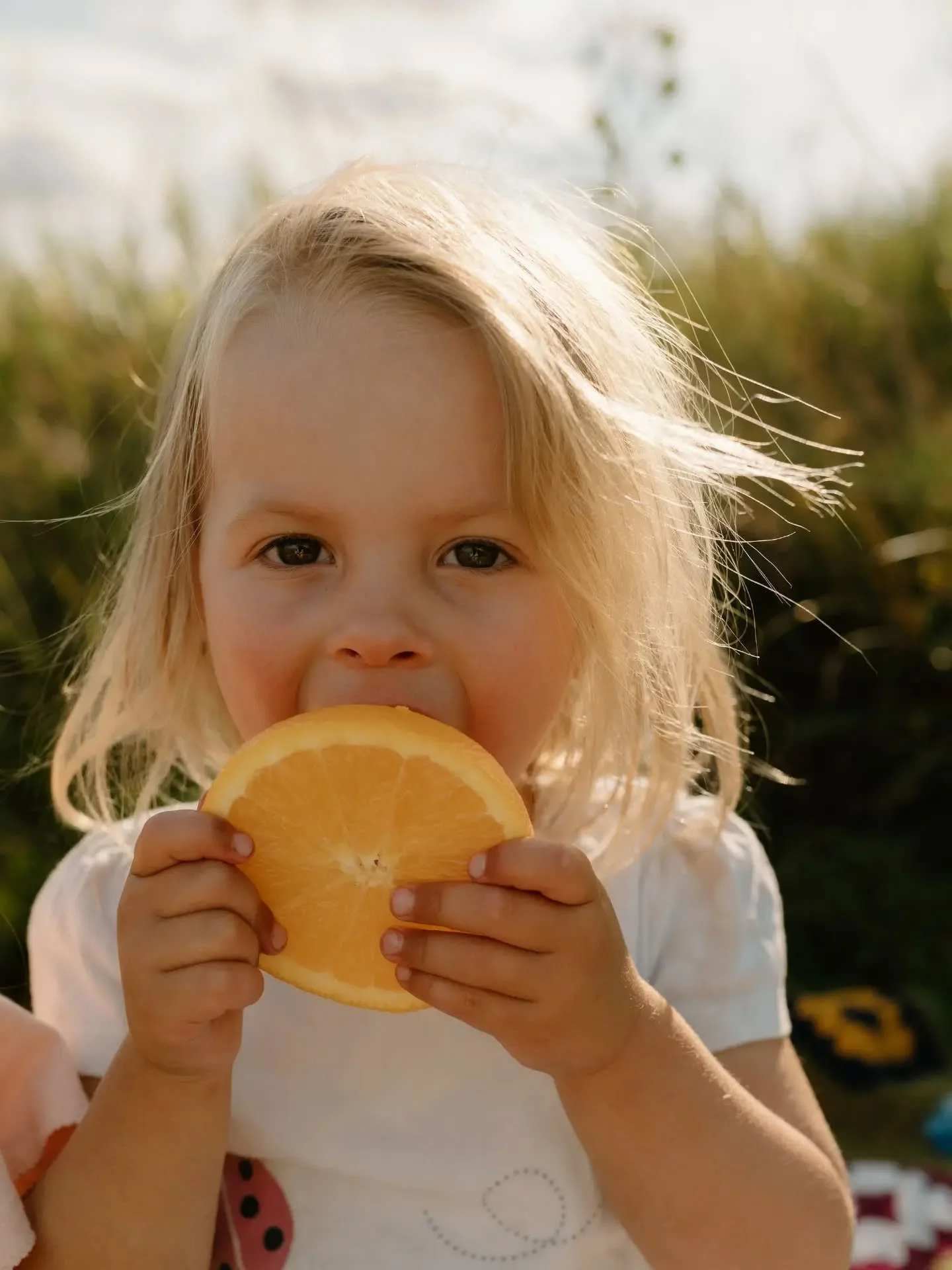 Quintessential summer foods and the cutest little snackers! 🍉 🍊 

@paigeelizabeth91 @joshua.walker.s 

#summerfamilysession
#durhamregionfamilyphotographer #whitbyfamilyphotographer