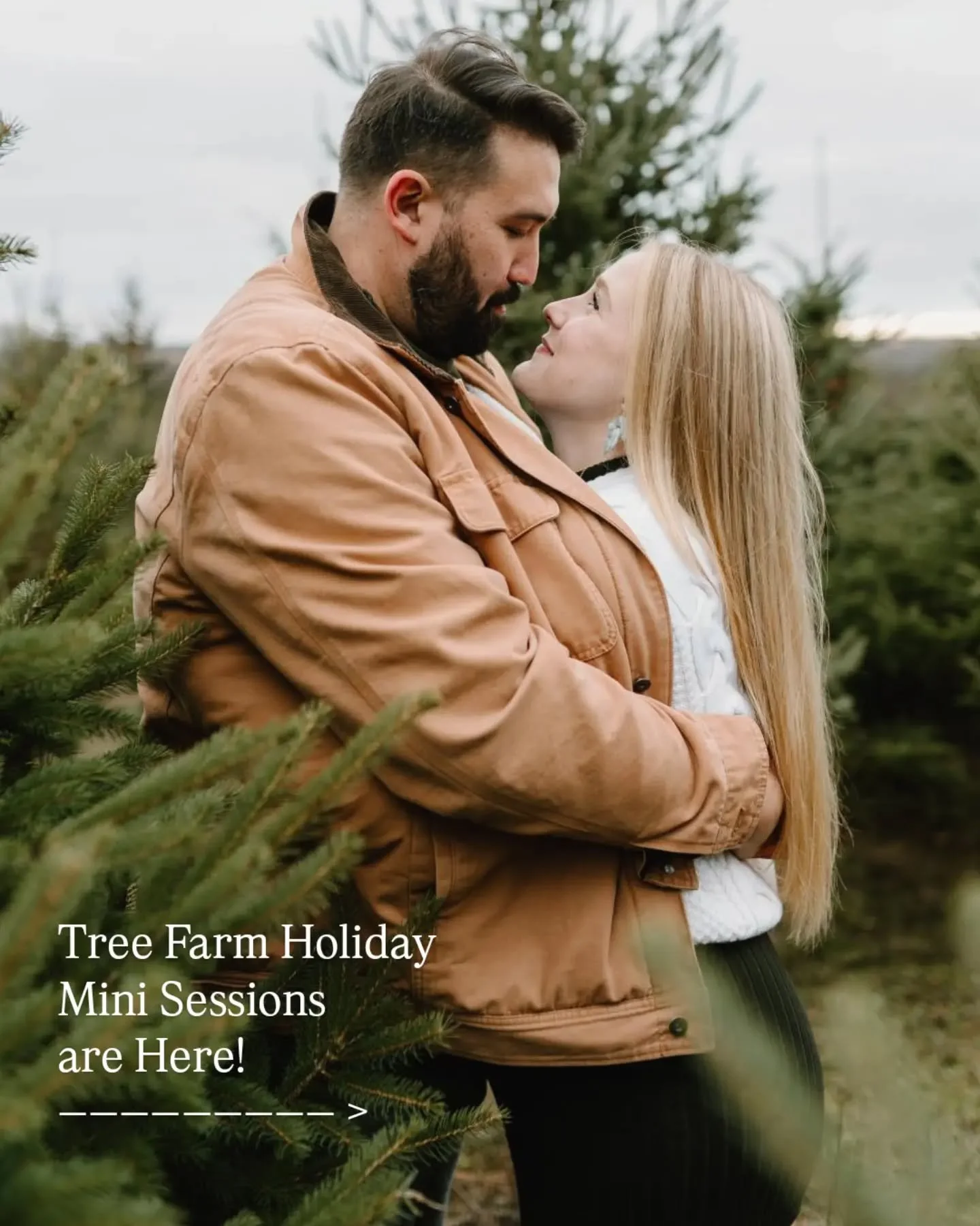 🌲 Tree Farm Holiday Minis 🌲