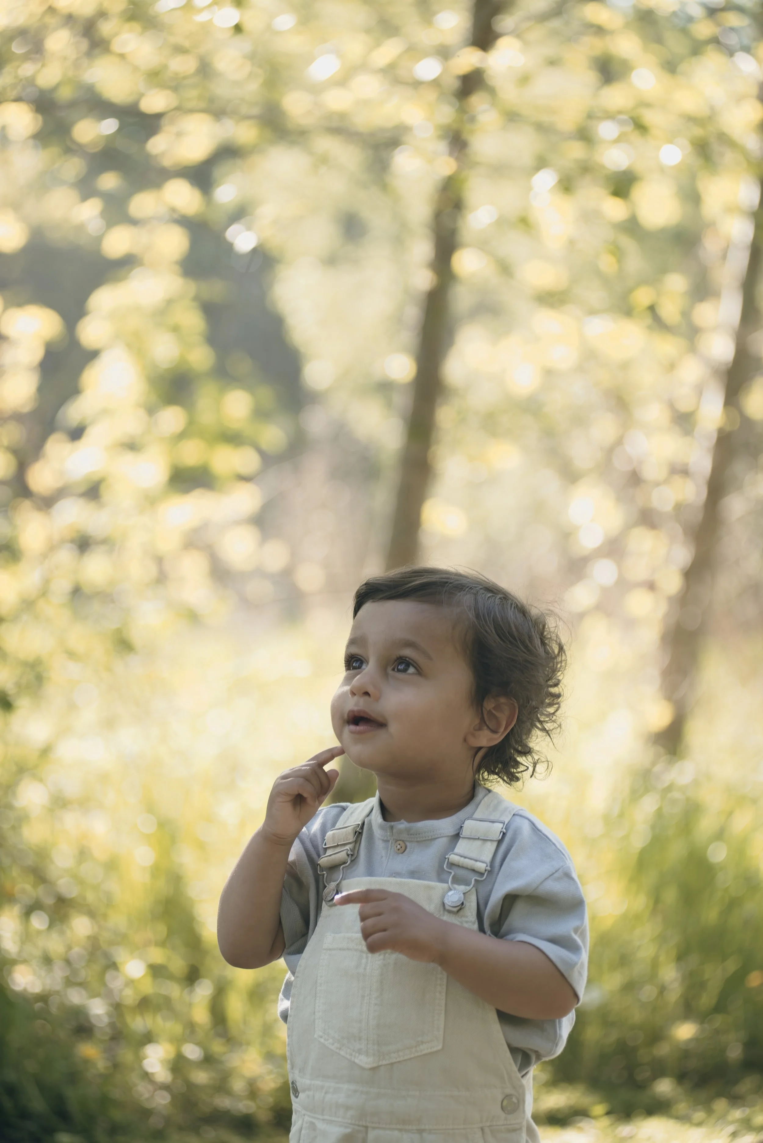 Young child with curly hair, wearing beige overalls and a gray shirt, looking upward in a forest during daytime, with sunlight filtering through the trees.