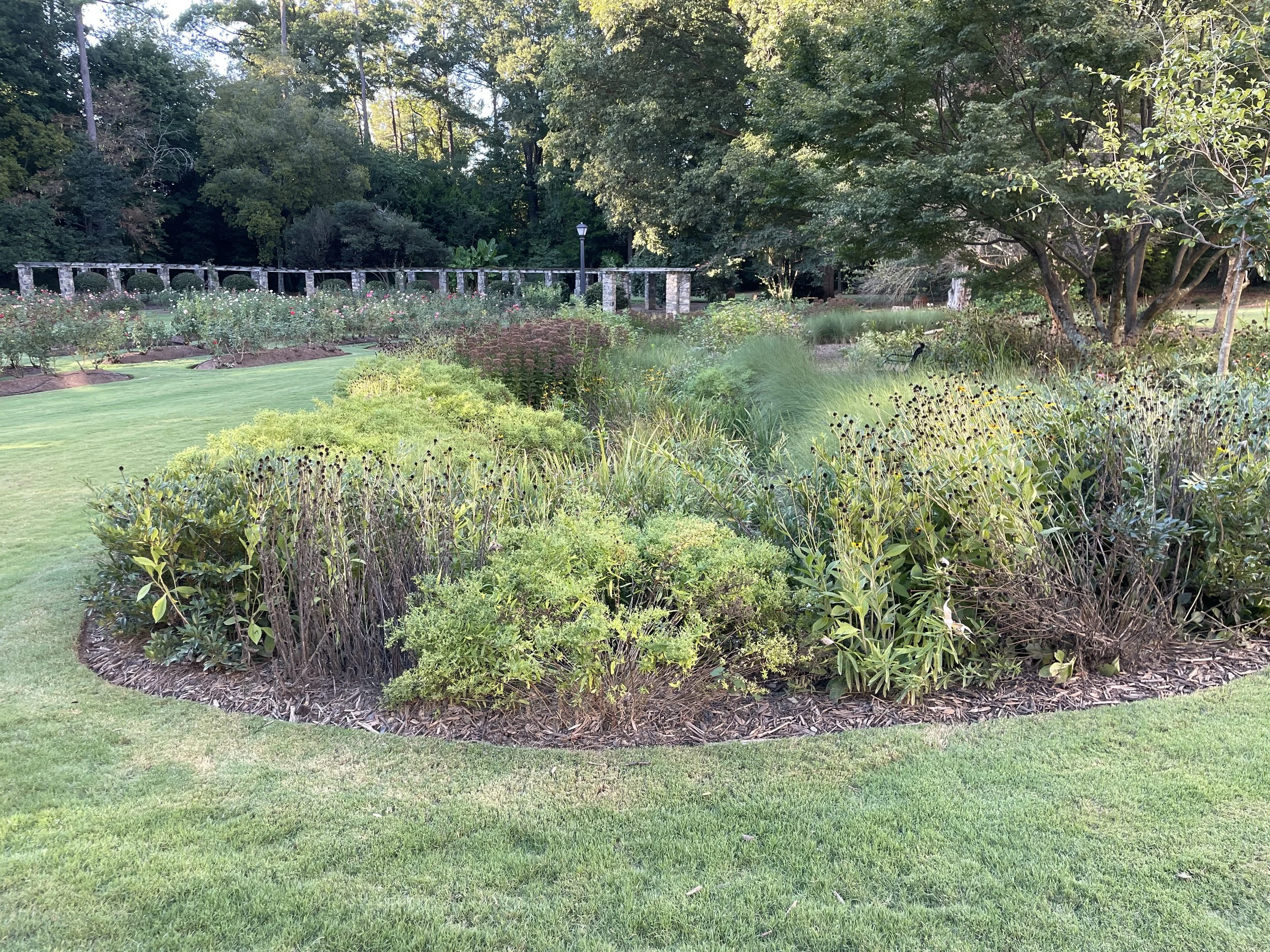 Raleigh Rose Garden Stormwater Retrofits