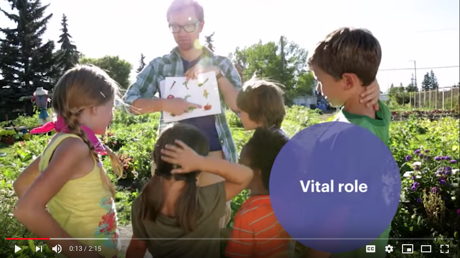 NAEYC Marketing Video