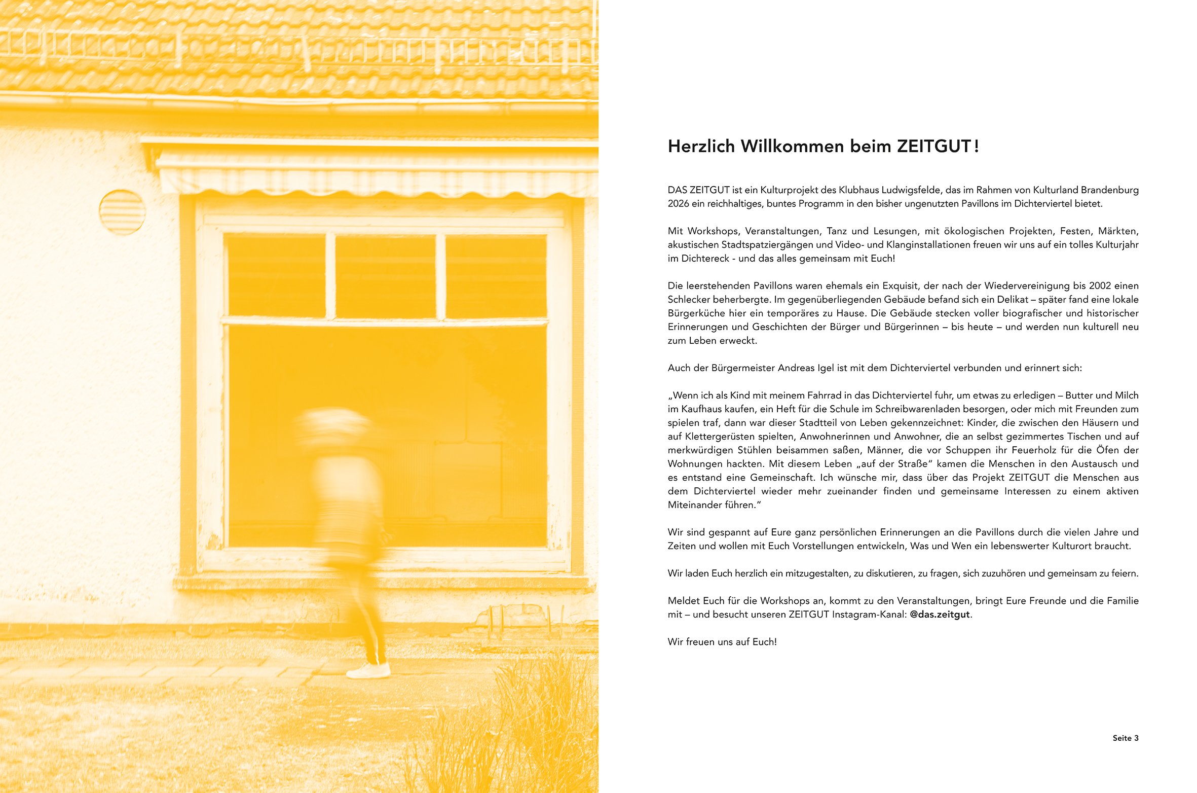 Brosch_final-3.jpg