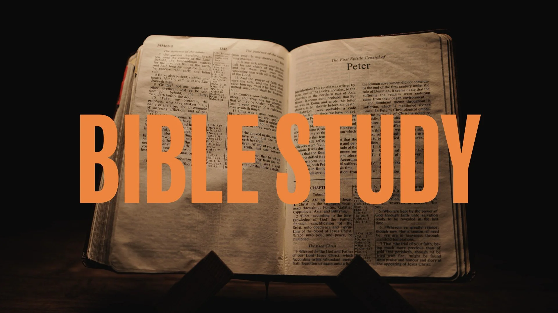 Bible Study 