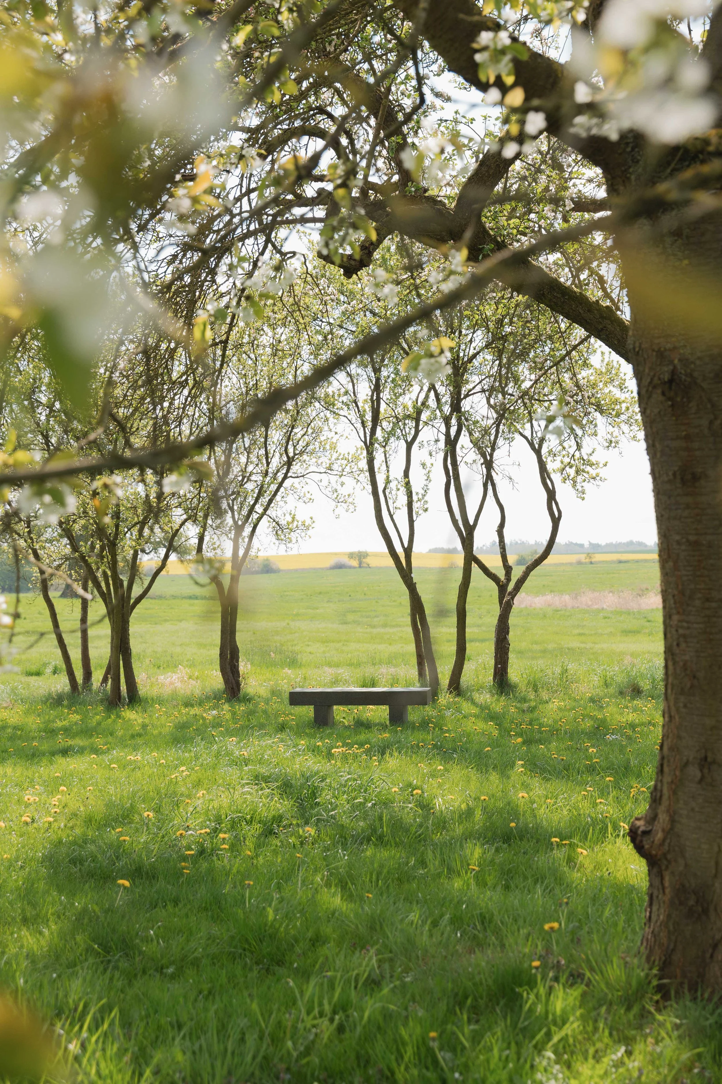 moodmacher Mitarbeiter Sara-1996.jpg